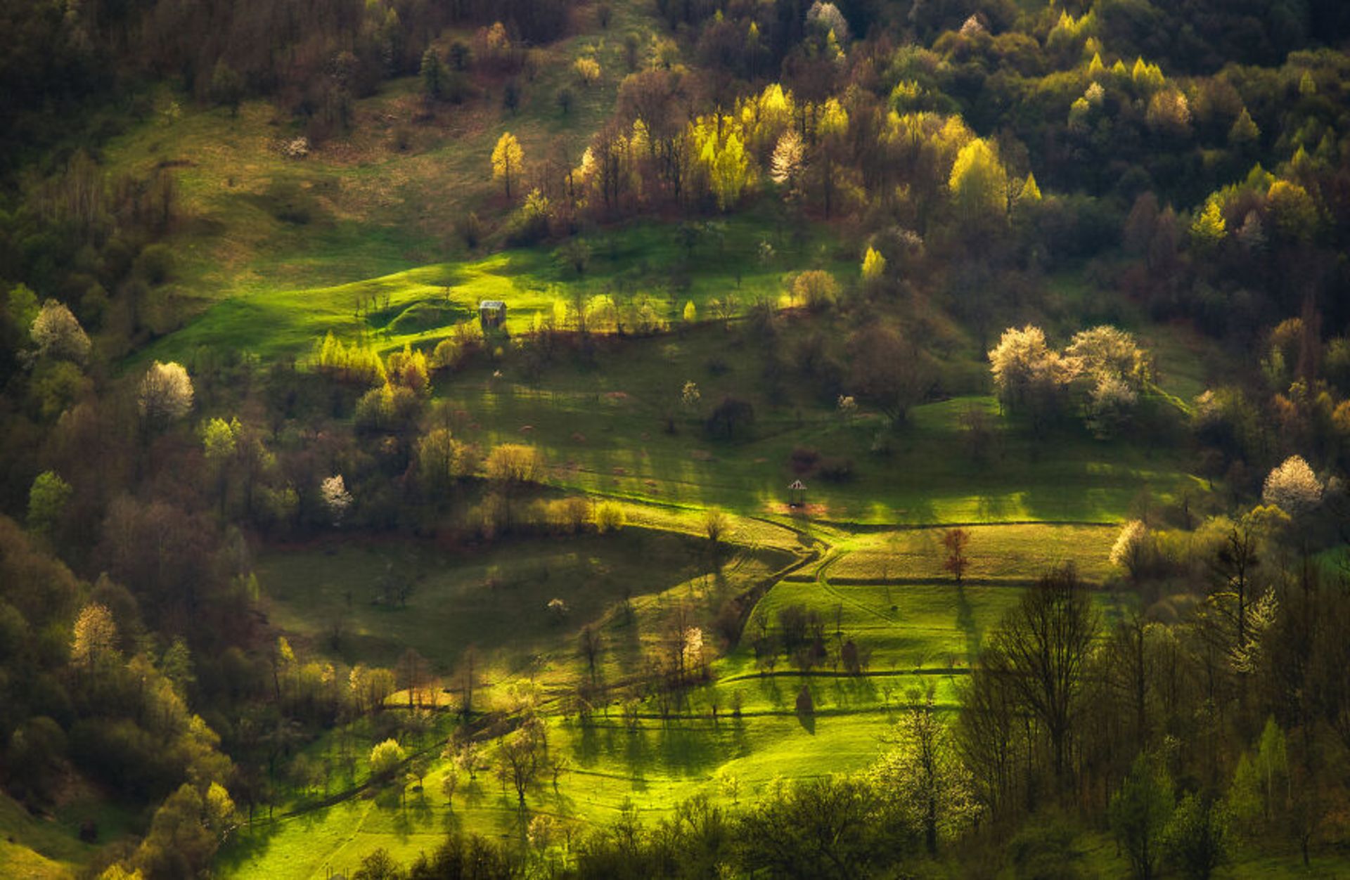 منظره سبز بهاری رومانی