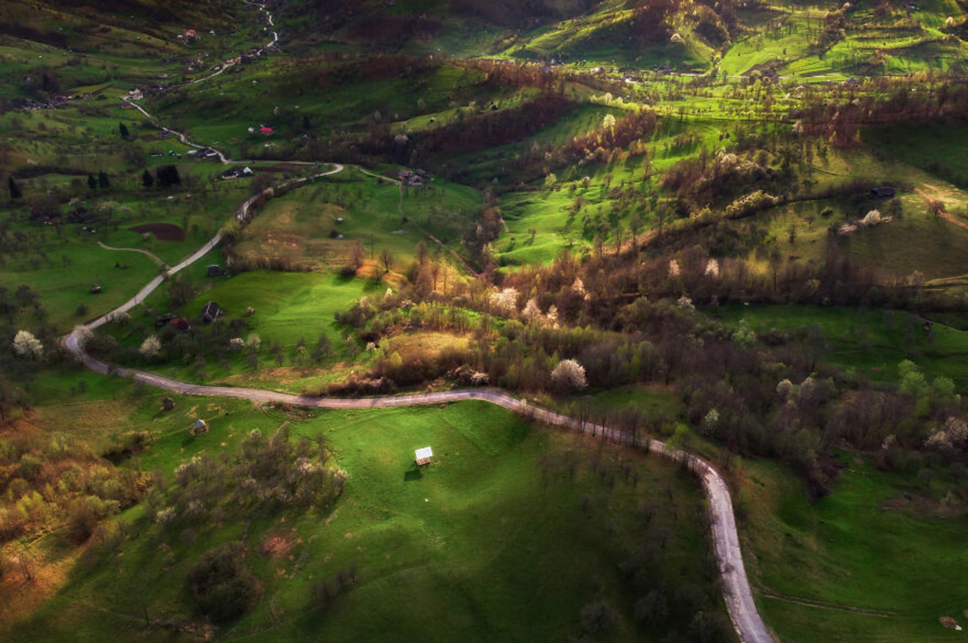 طبیعت سبز رومانی