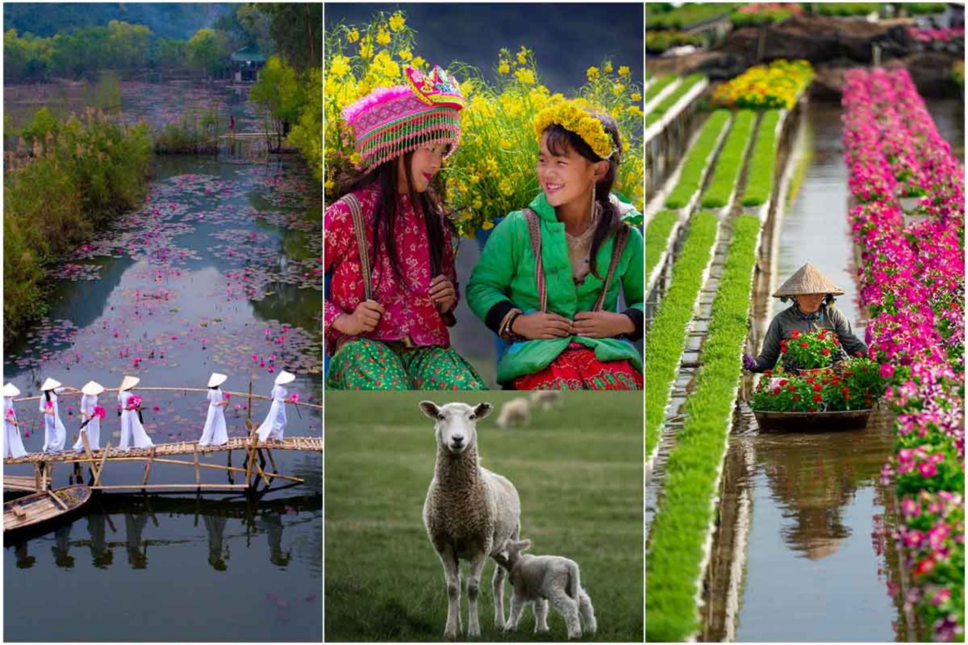 بهار در سراسر جهان 