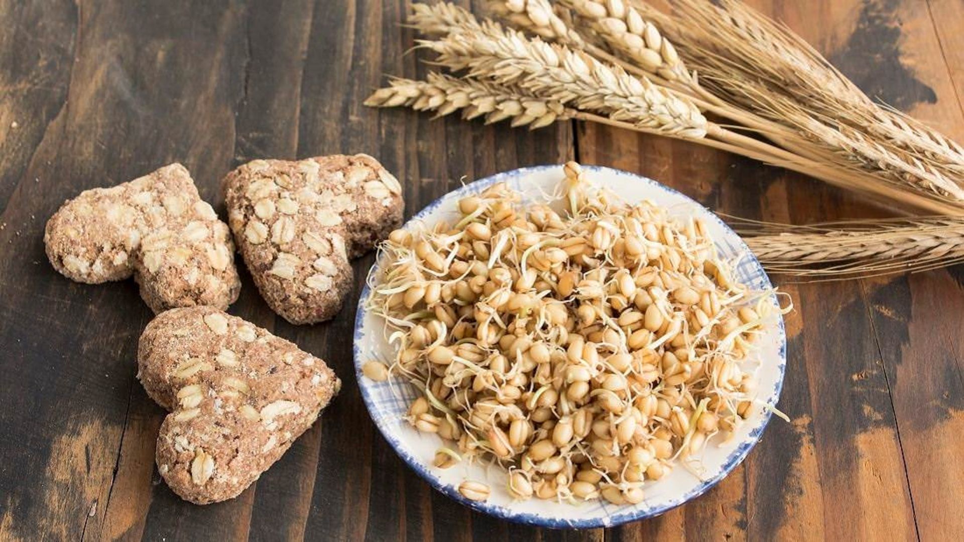 کلوچه‌های جوانه گندم در کنار بشقاب و ساقه‌های گندم