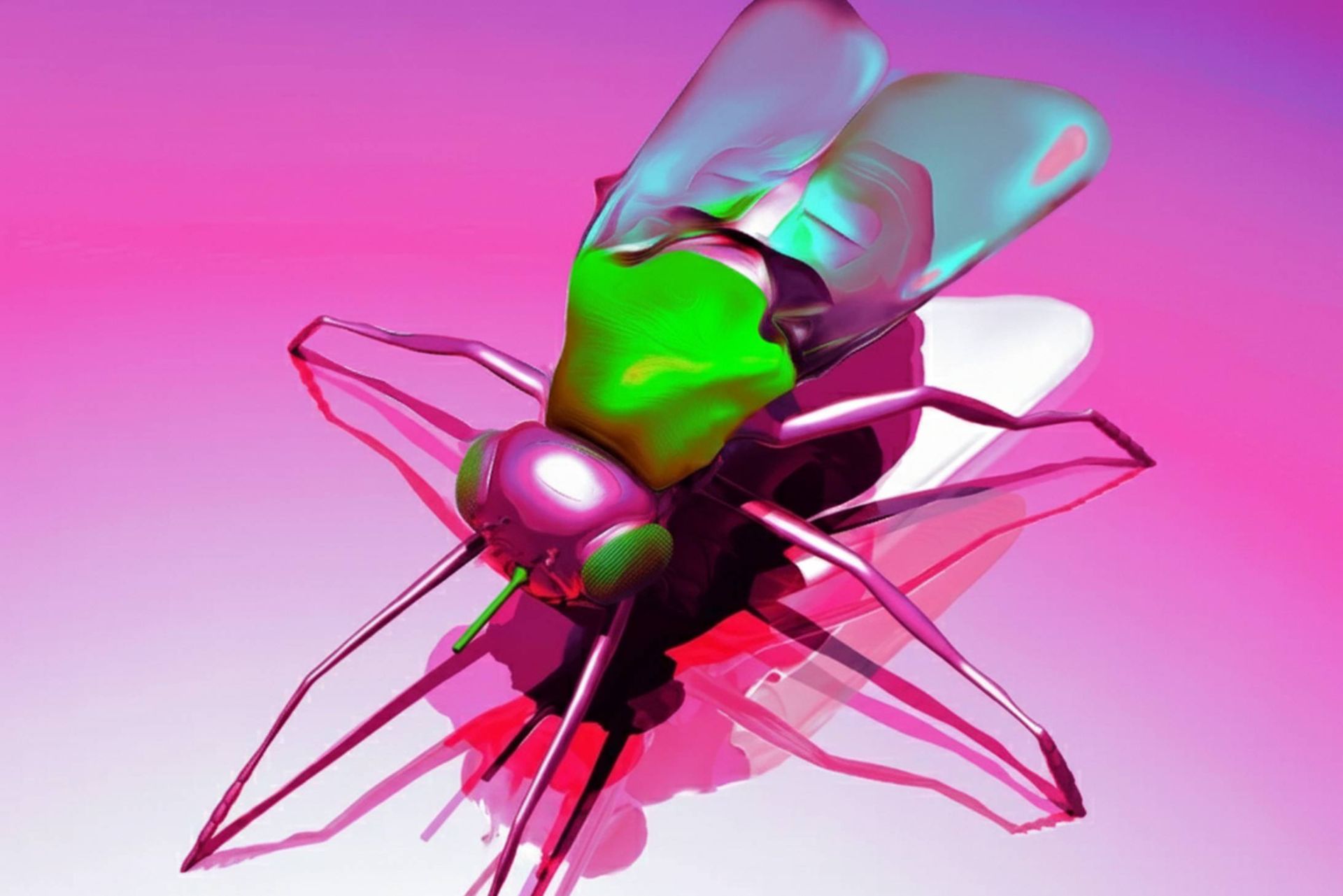 ربات شبیه حشره