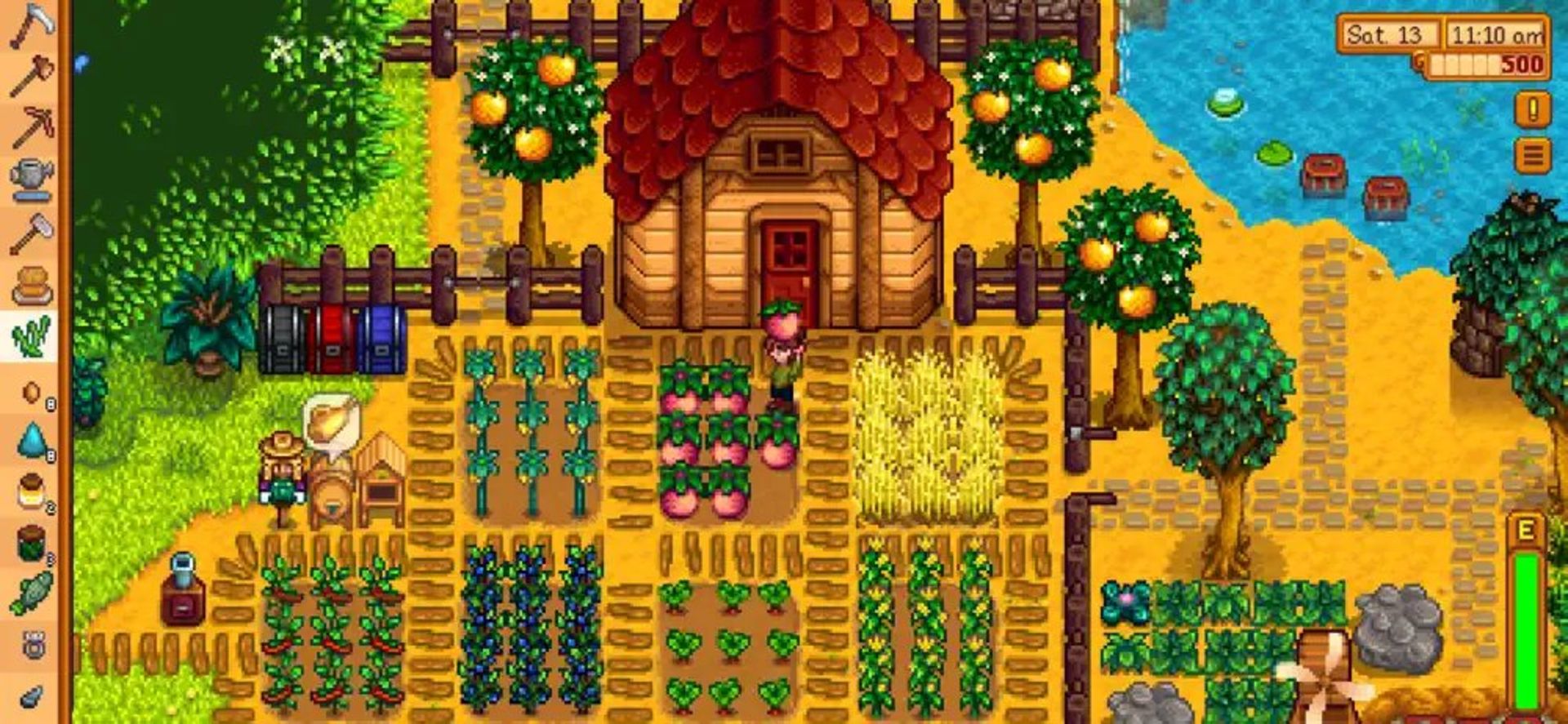 بازی Stardew Valley