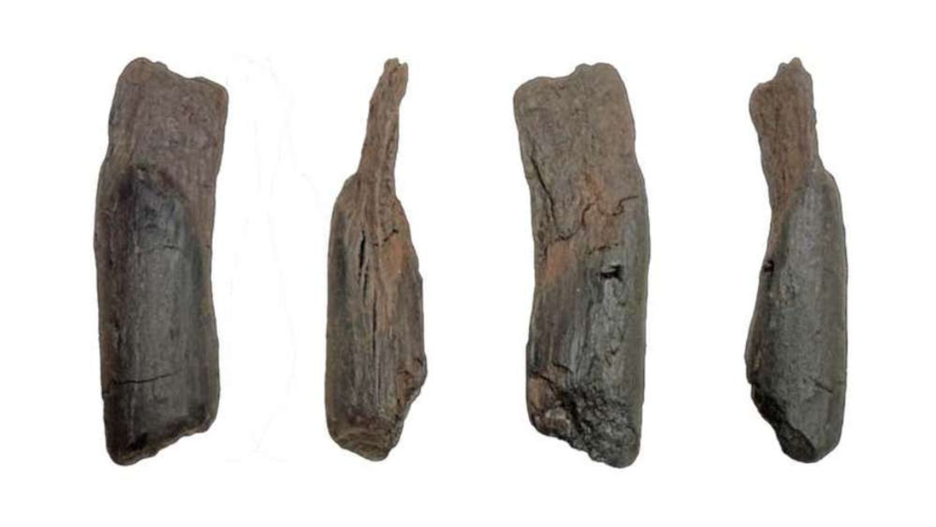 ابزار چوبی شماره دو کشف شده در ماراتوسا یونان