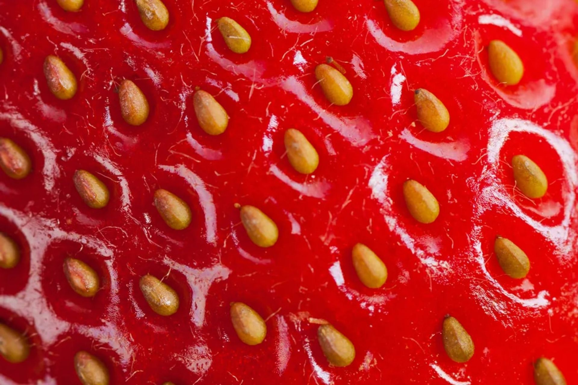 دانه‌های سطح توت فرنگی