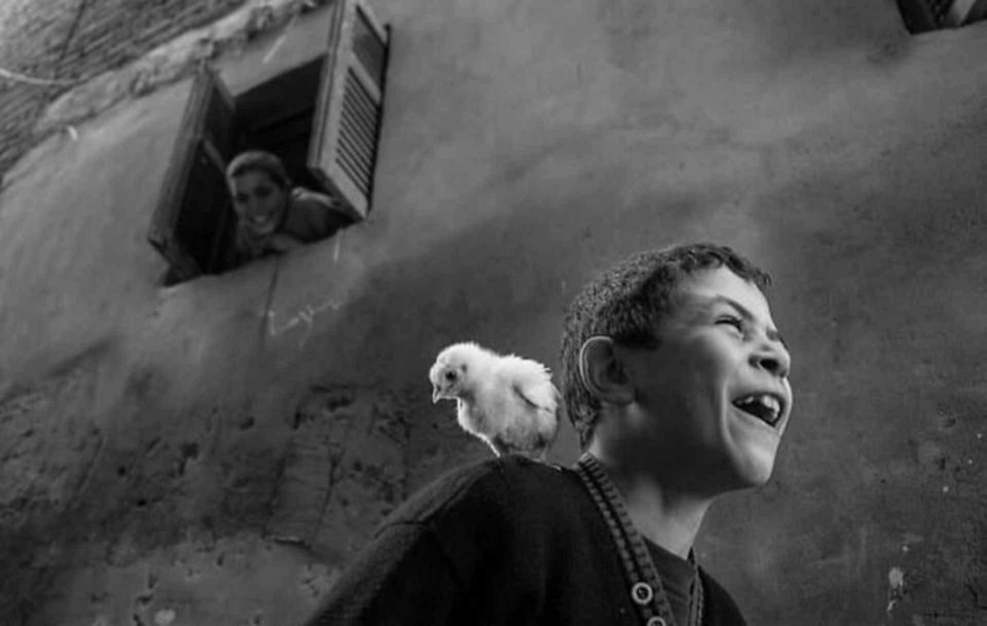 پسربچه جوجه به دوش و پسری در قاب پنجره