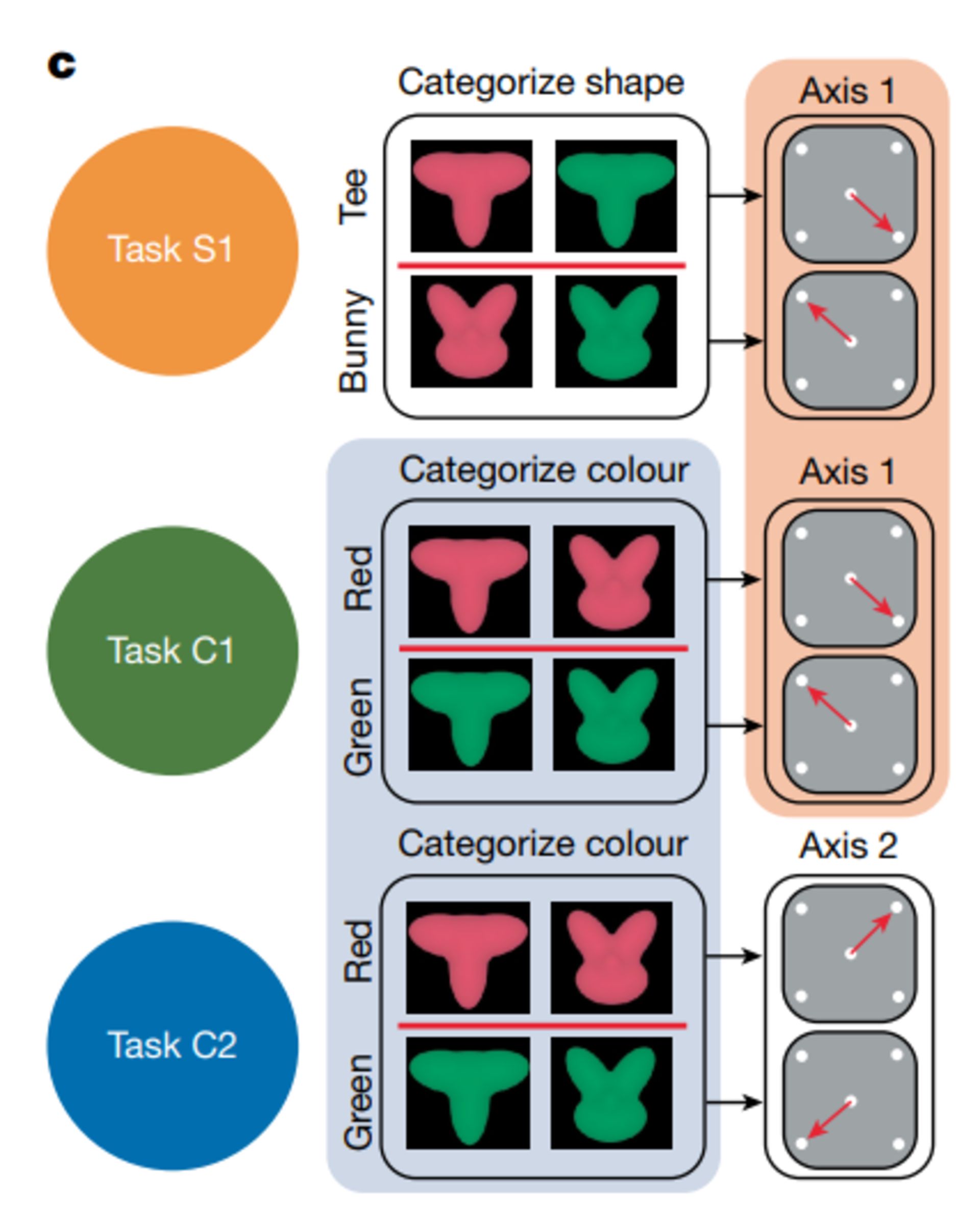 بازی طراحی‌شده برای تست عملکرد مغز درمقایسه با هوش مصنوعی 