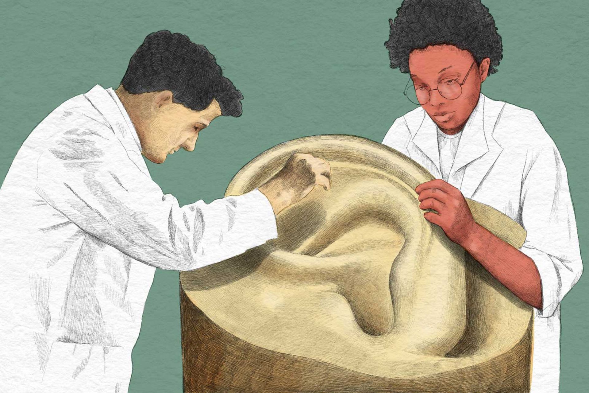 تصویرسازی از دو شخص با لباس سفید درحال مطالعه مدل بزرگ گوش انسان