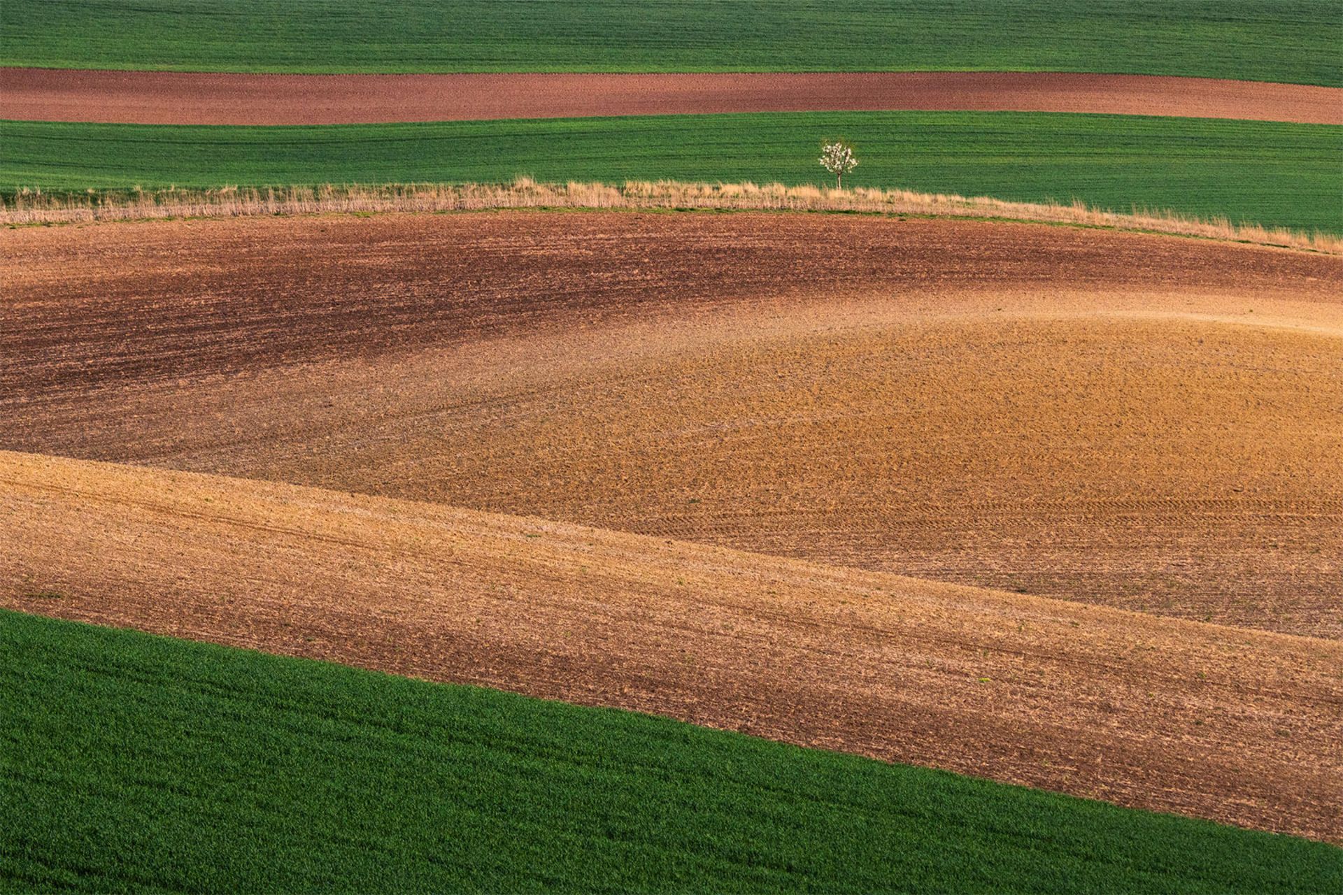 طبیعت جمهوری چک