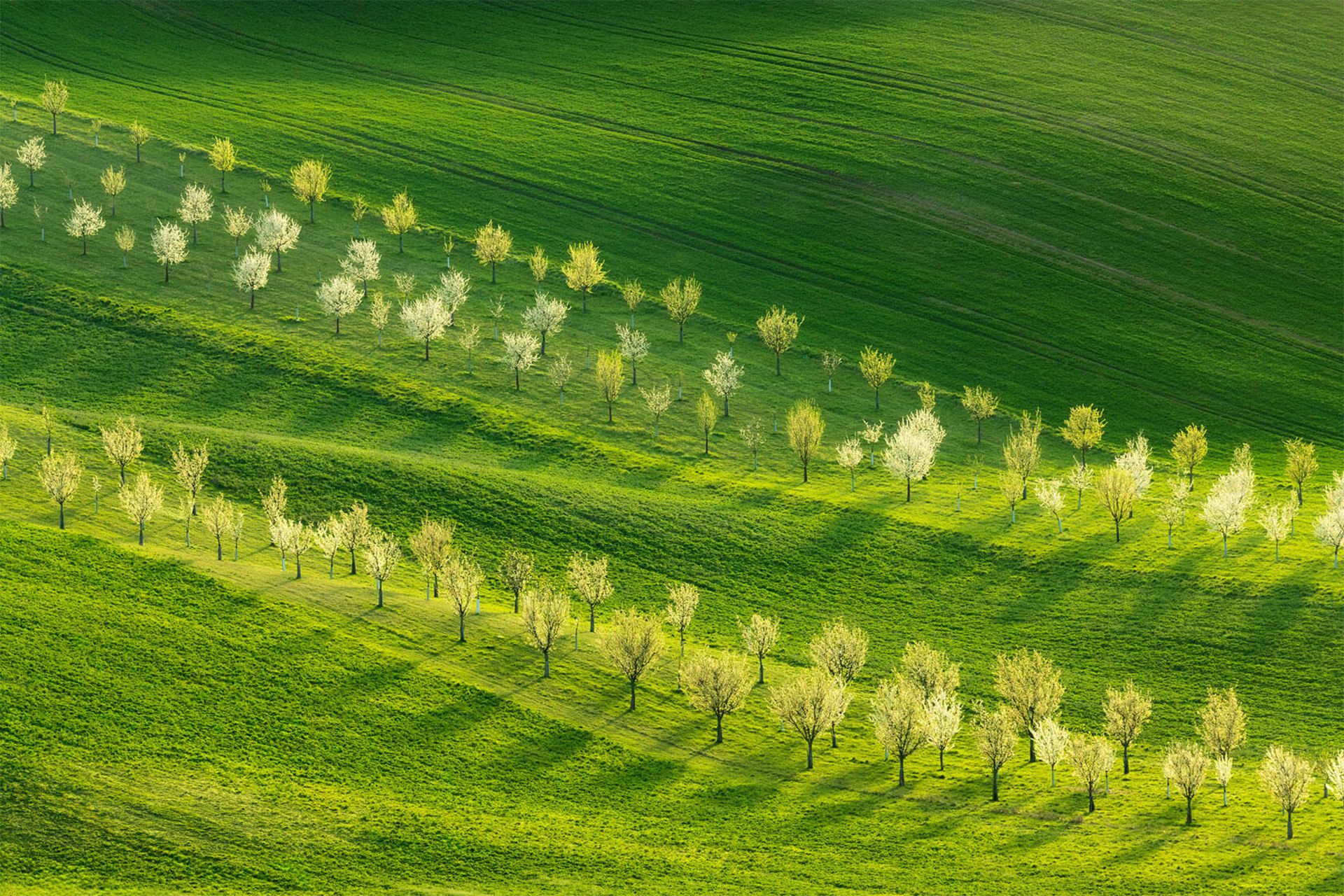 طبیعت جمهوری چک