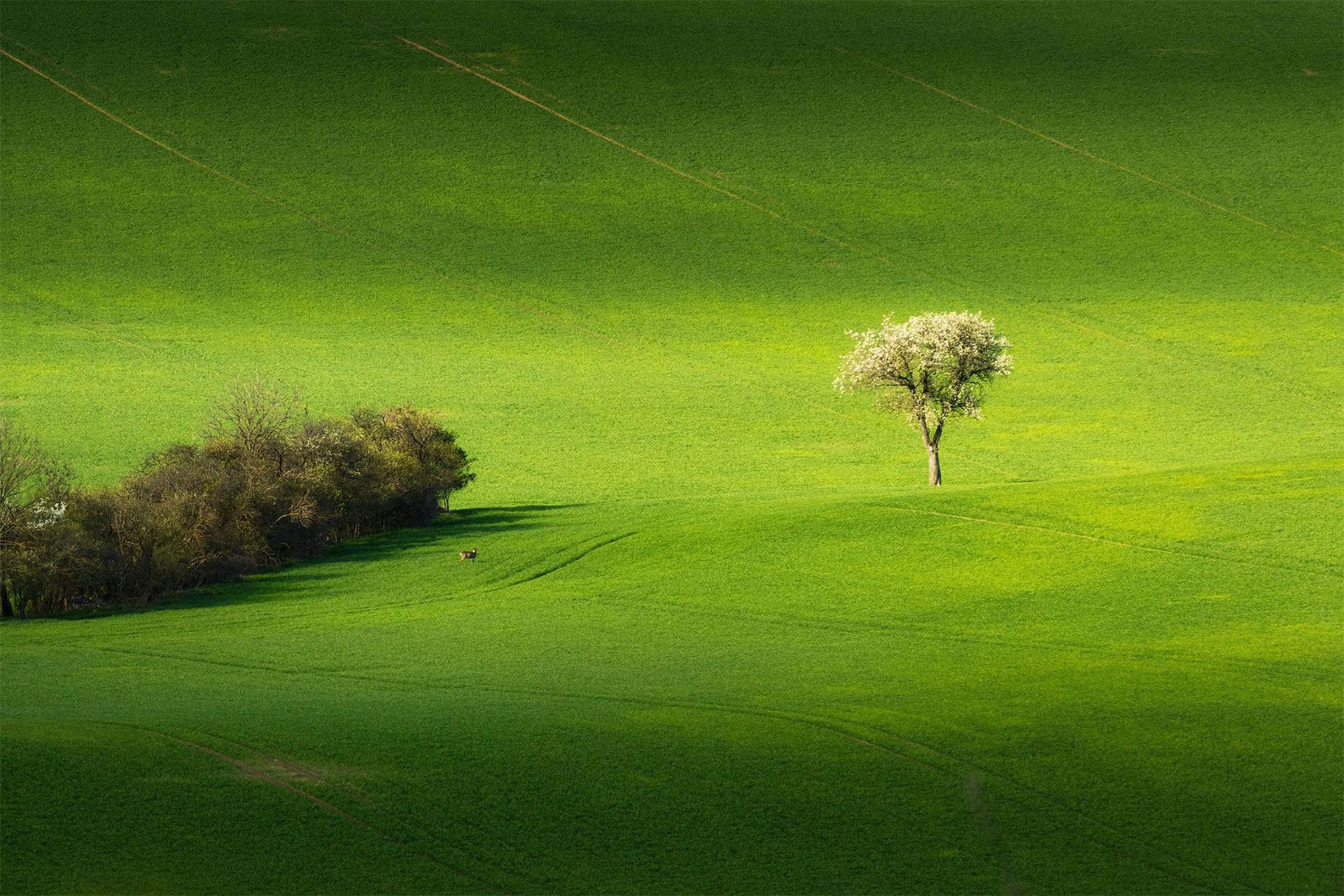 طبیعت جمهوری چک