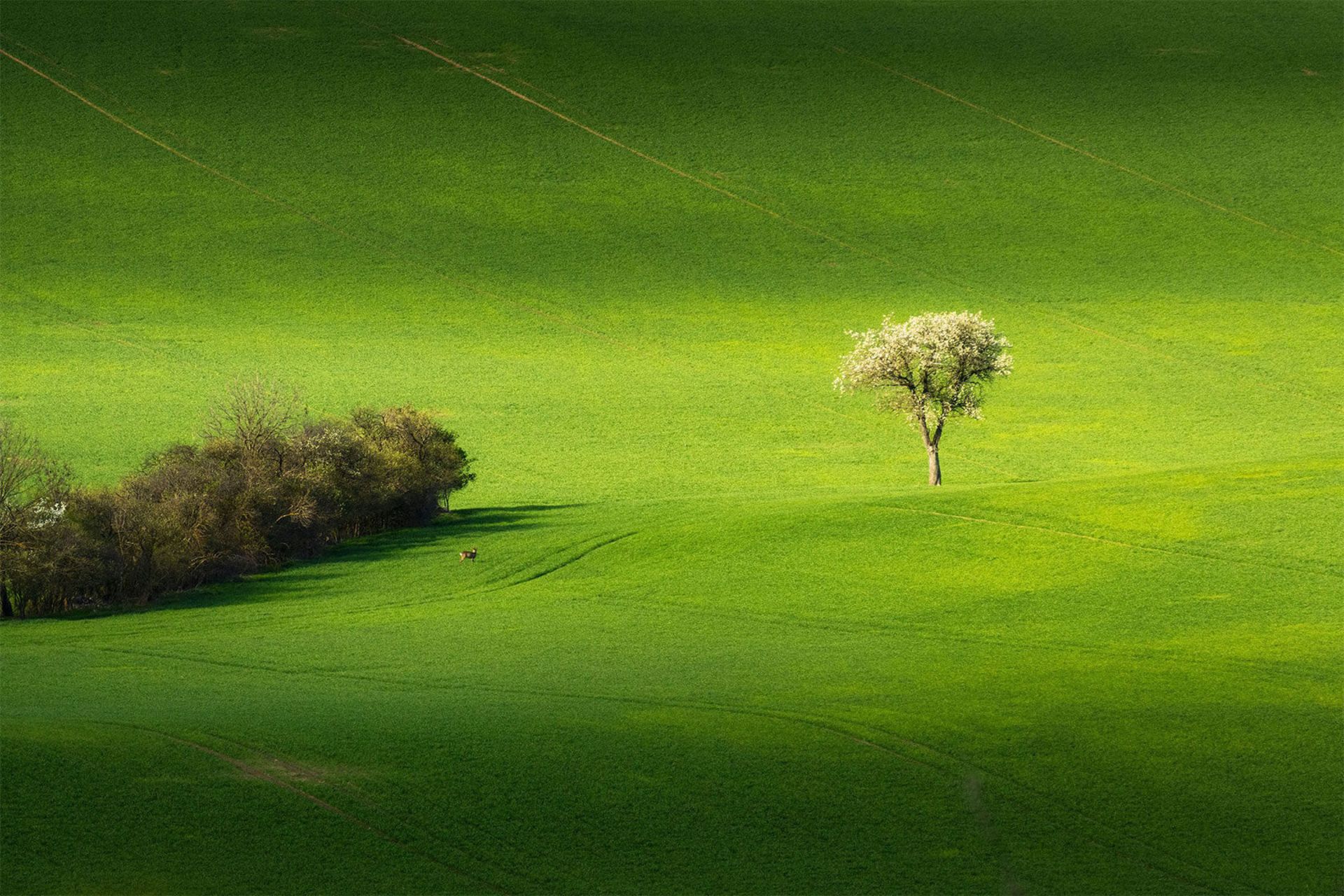 طبیعت جمهوری چک