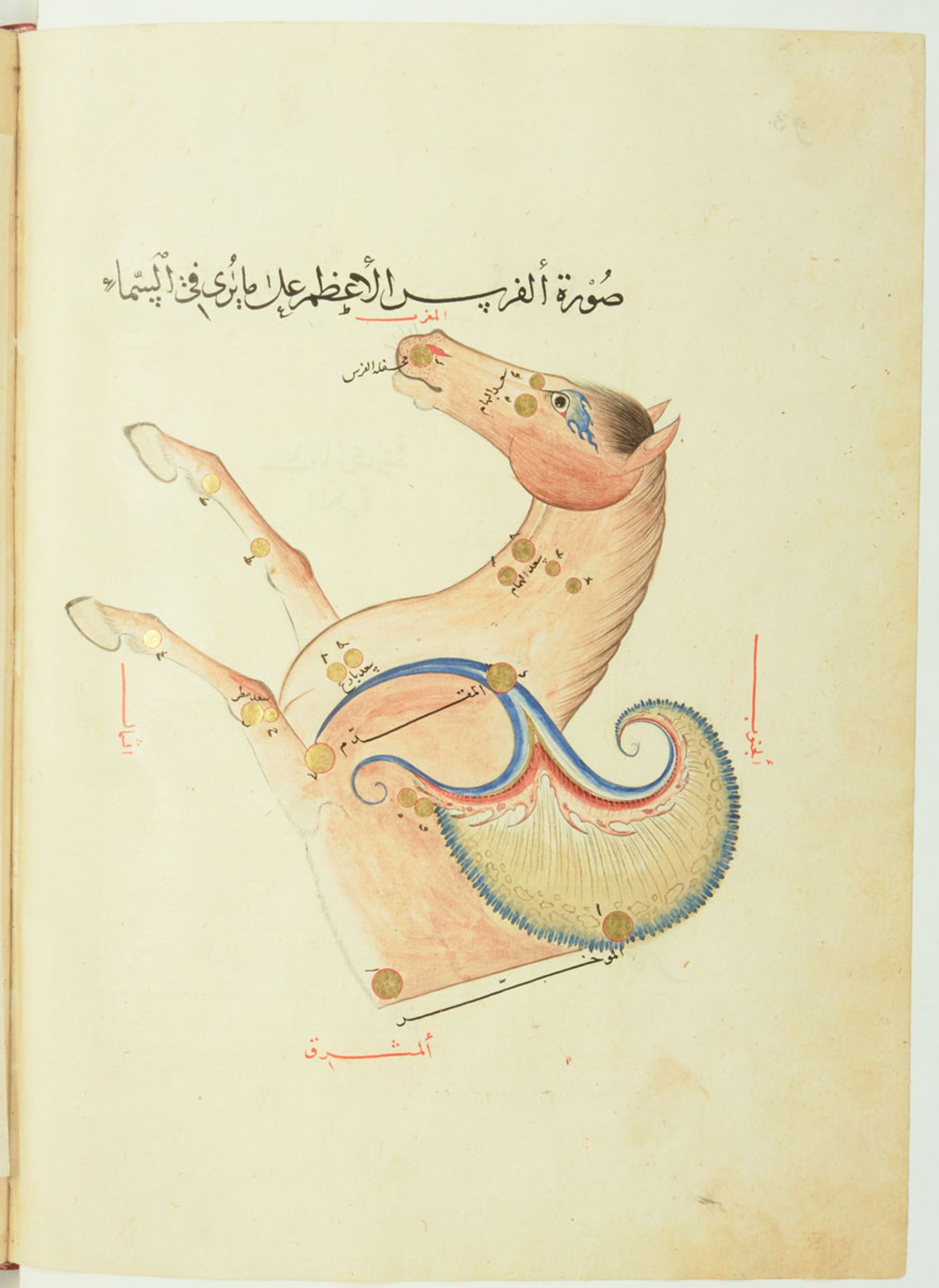 نقاشی صورت فلکی اسب بالدار صوفی الغ بیگ