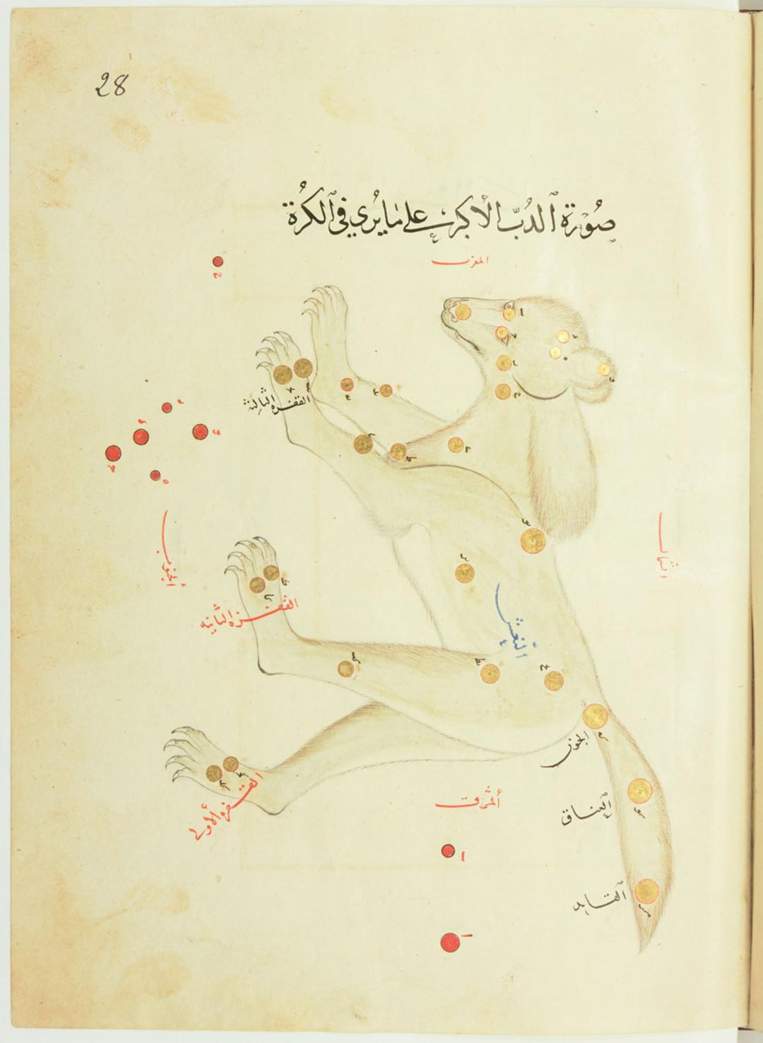 نقاشی صورت فلکی خرس بزرگ صوفی الغ بیگ