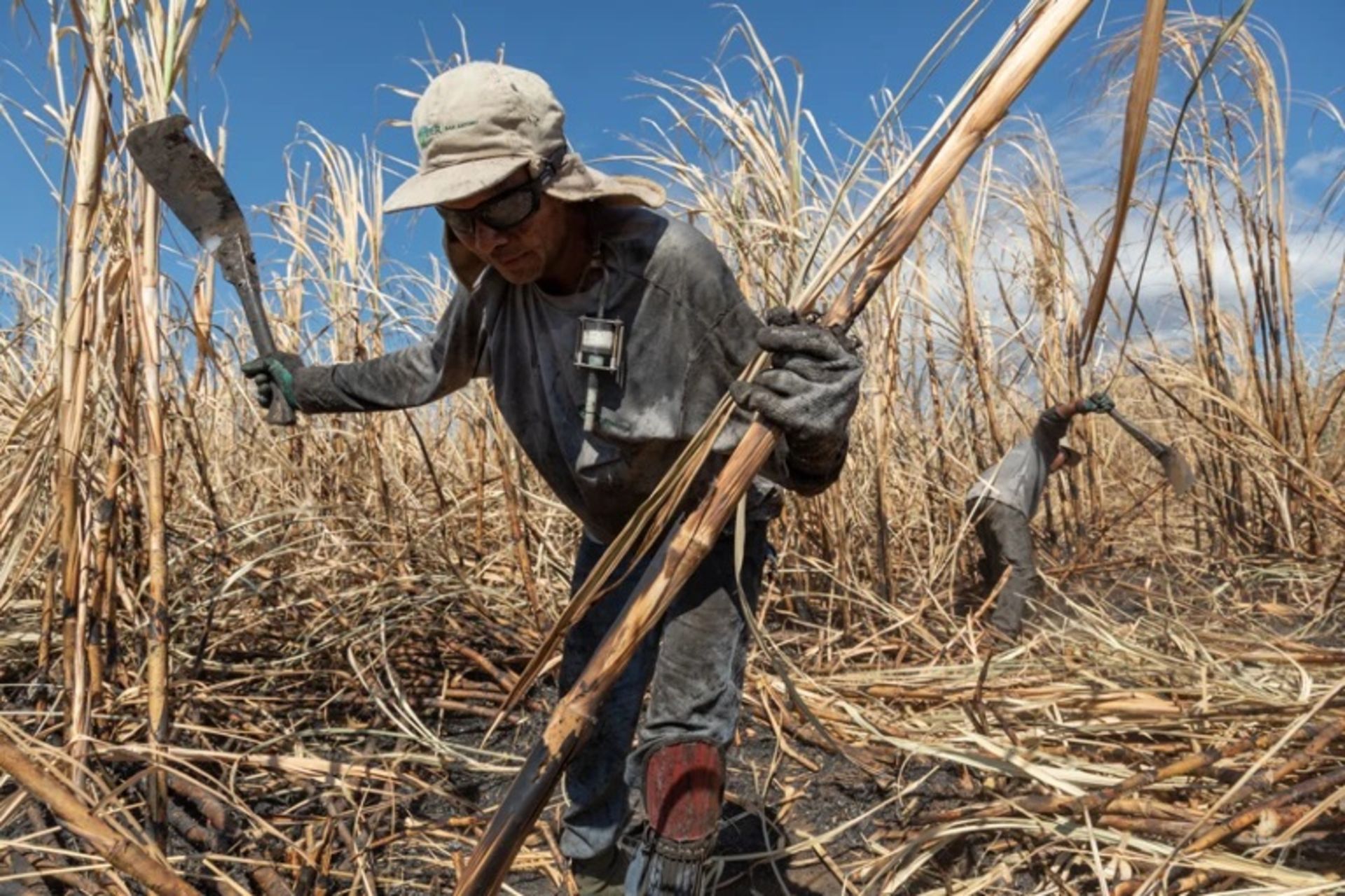 کارگران نیشکر در نیکاراگوئه