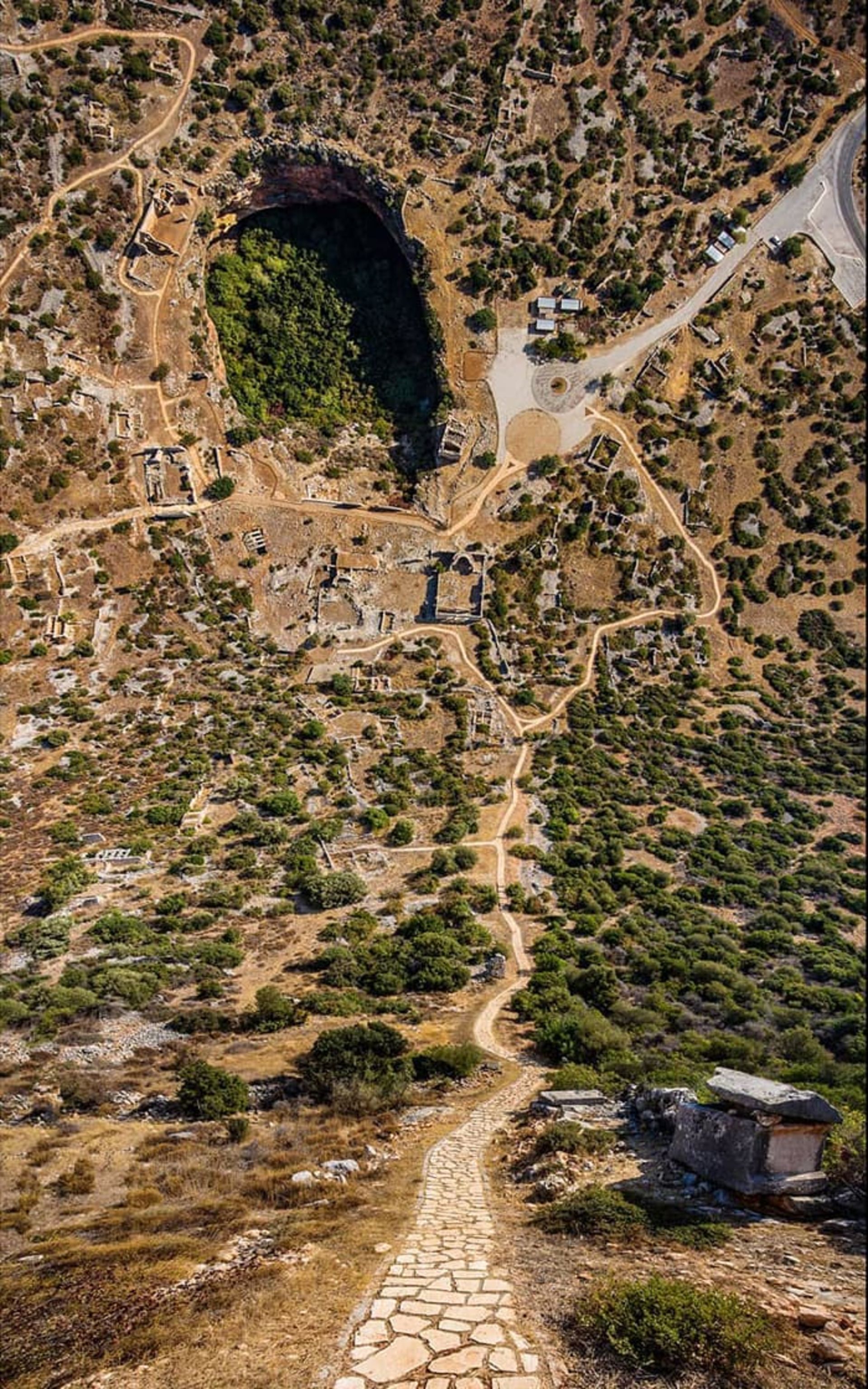 منظره سورئال بوته‌ّا و زمین خشک