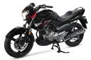 موتورسیکلت سوزوکی Suzuki Inazuma 250 نمای جلو و جانبی