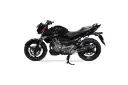 موتورسیکلت سوزوکی Suzuki Inazuma 250 نمای جانبی چپ