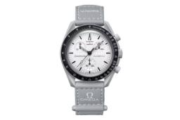 ساعت مچی مردانه سواچ Swatch MOONSWATCH 1965 SO33M106