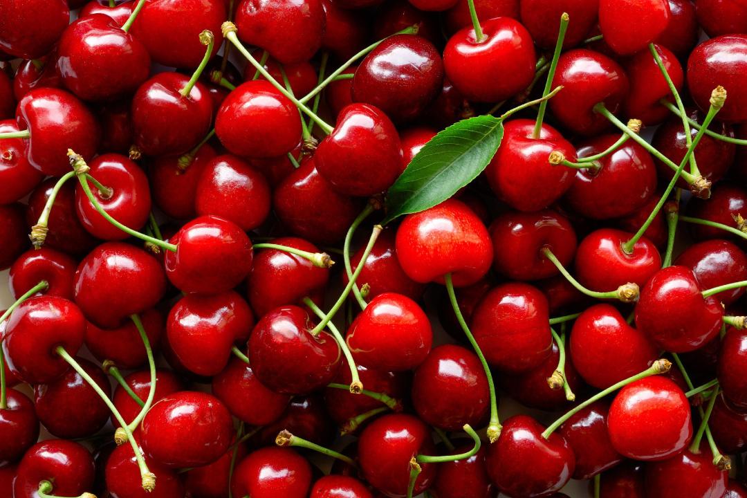 میوه گیلاس