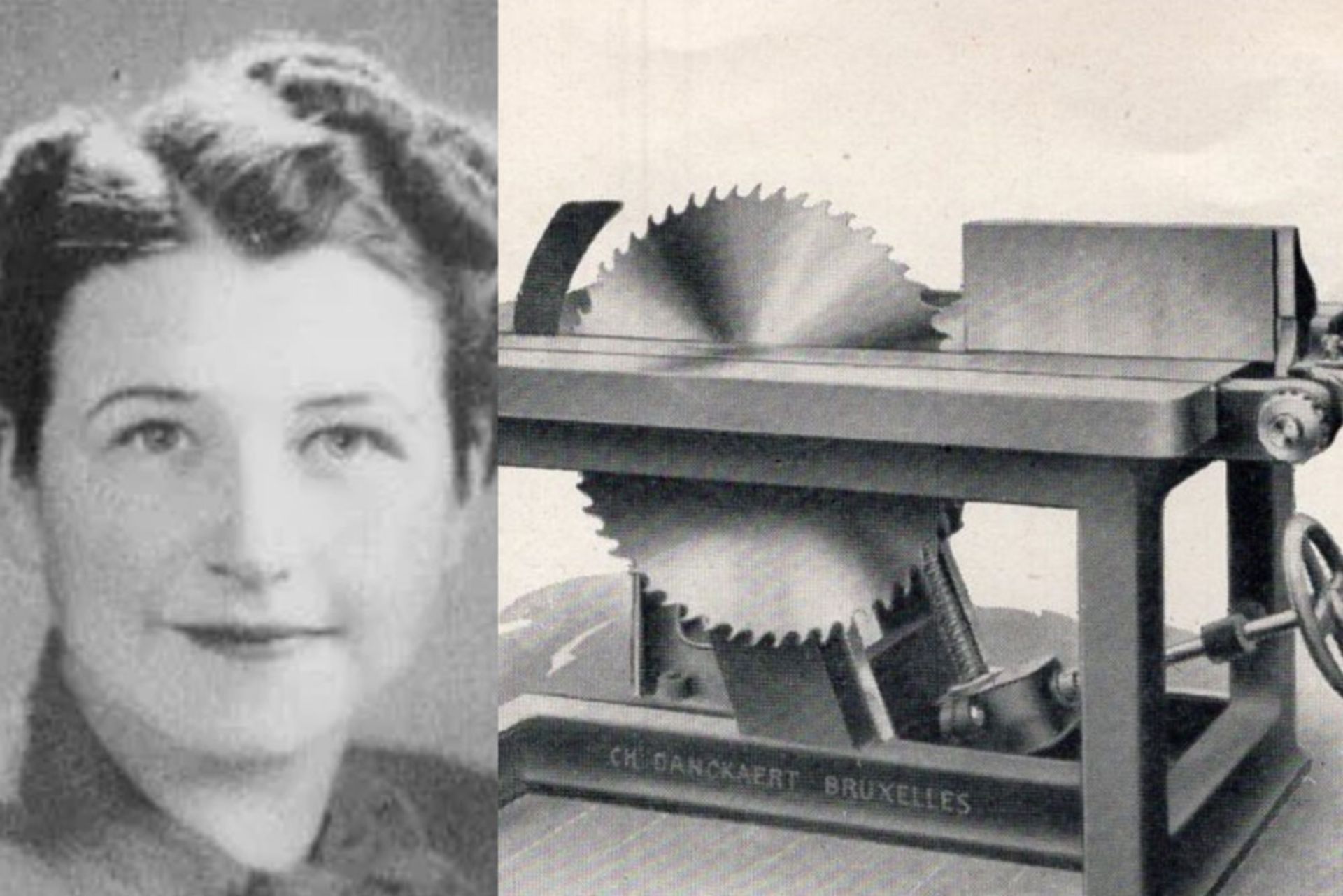 تابیثا بَبیِت