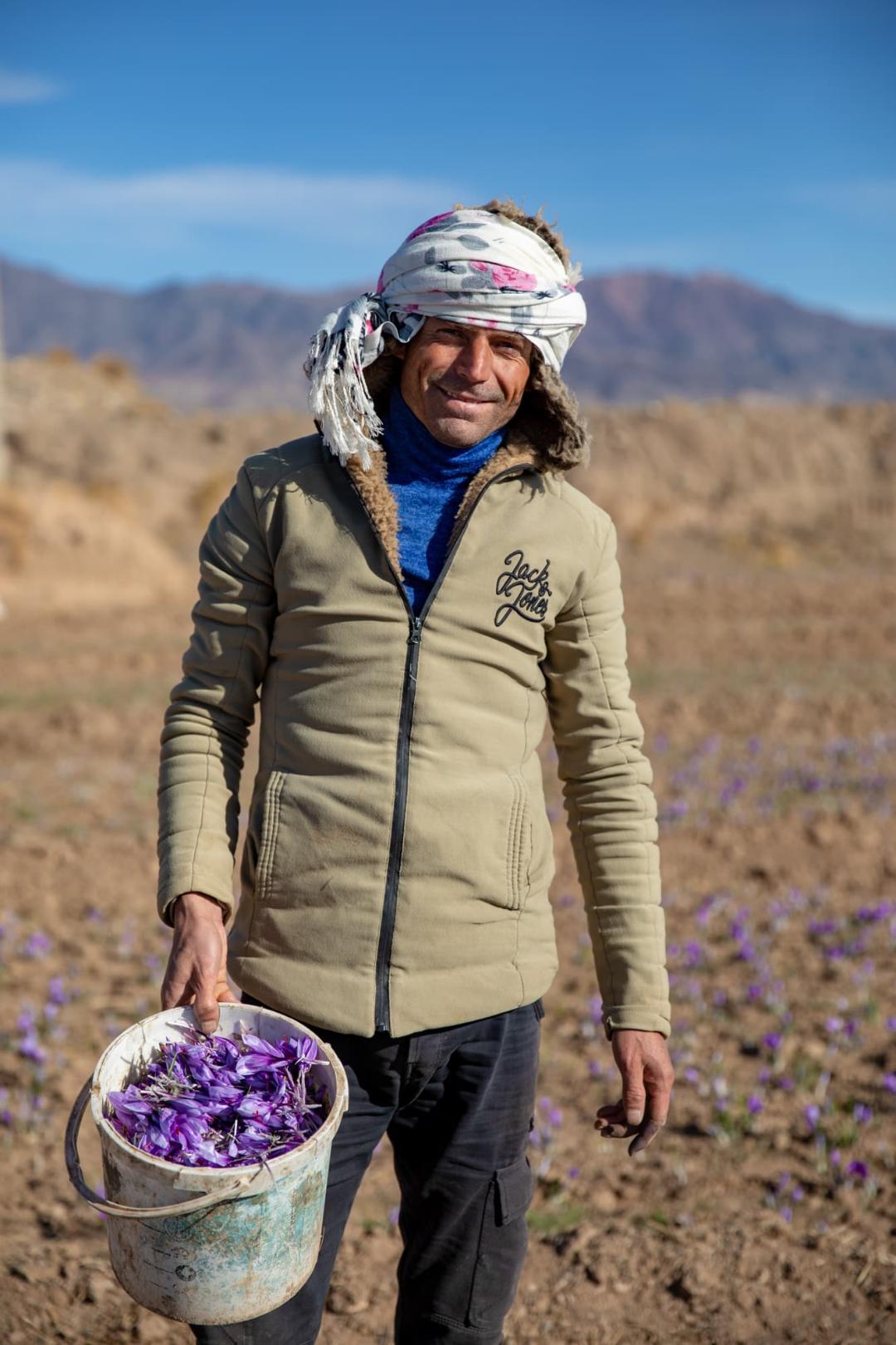  زعفران چینی