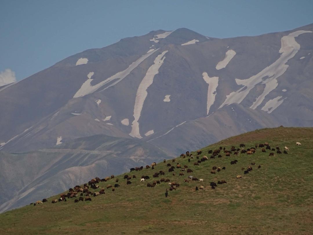 طبیعت طالقان کوه