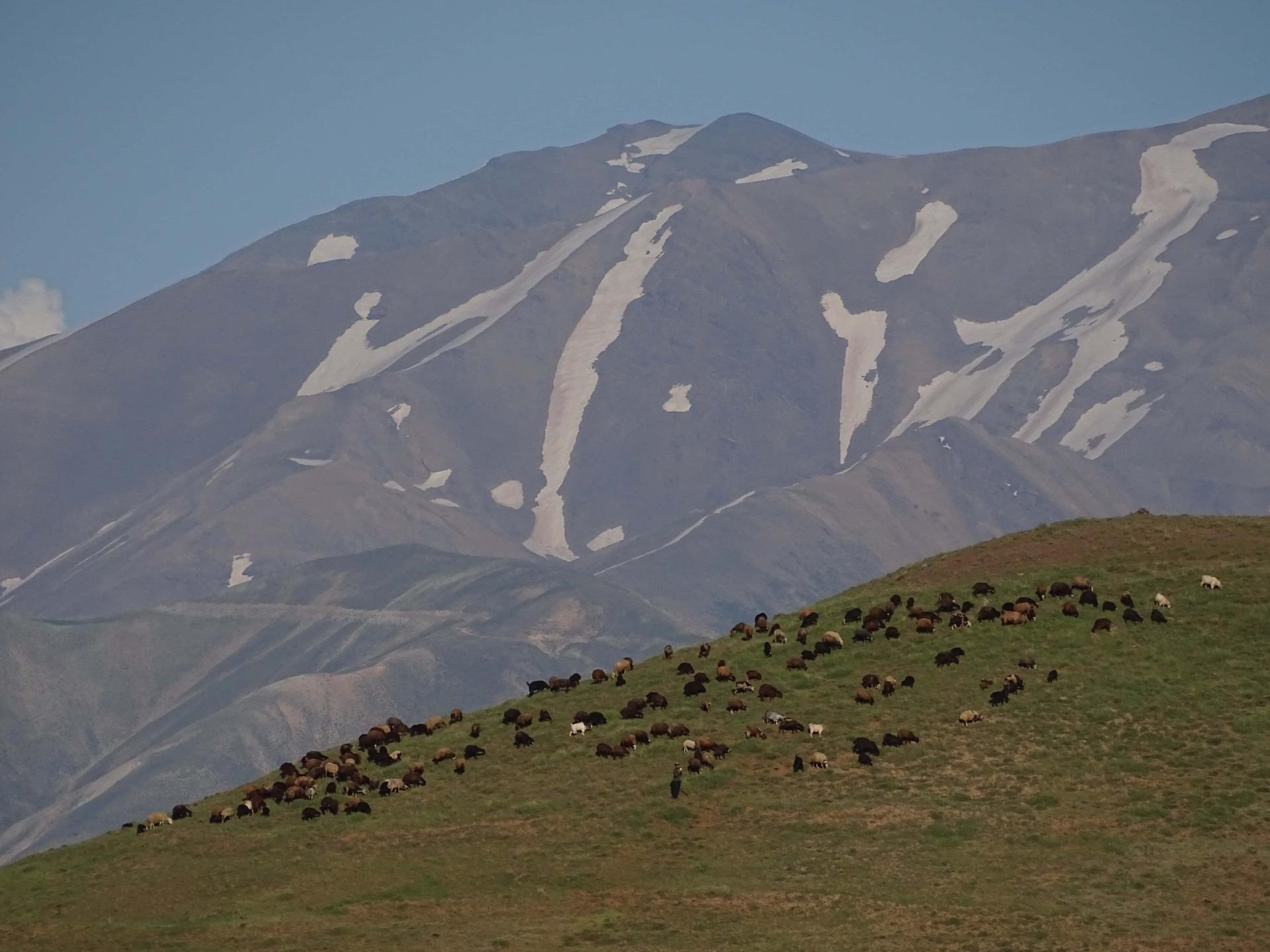 طبیعت طالقان کوه