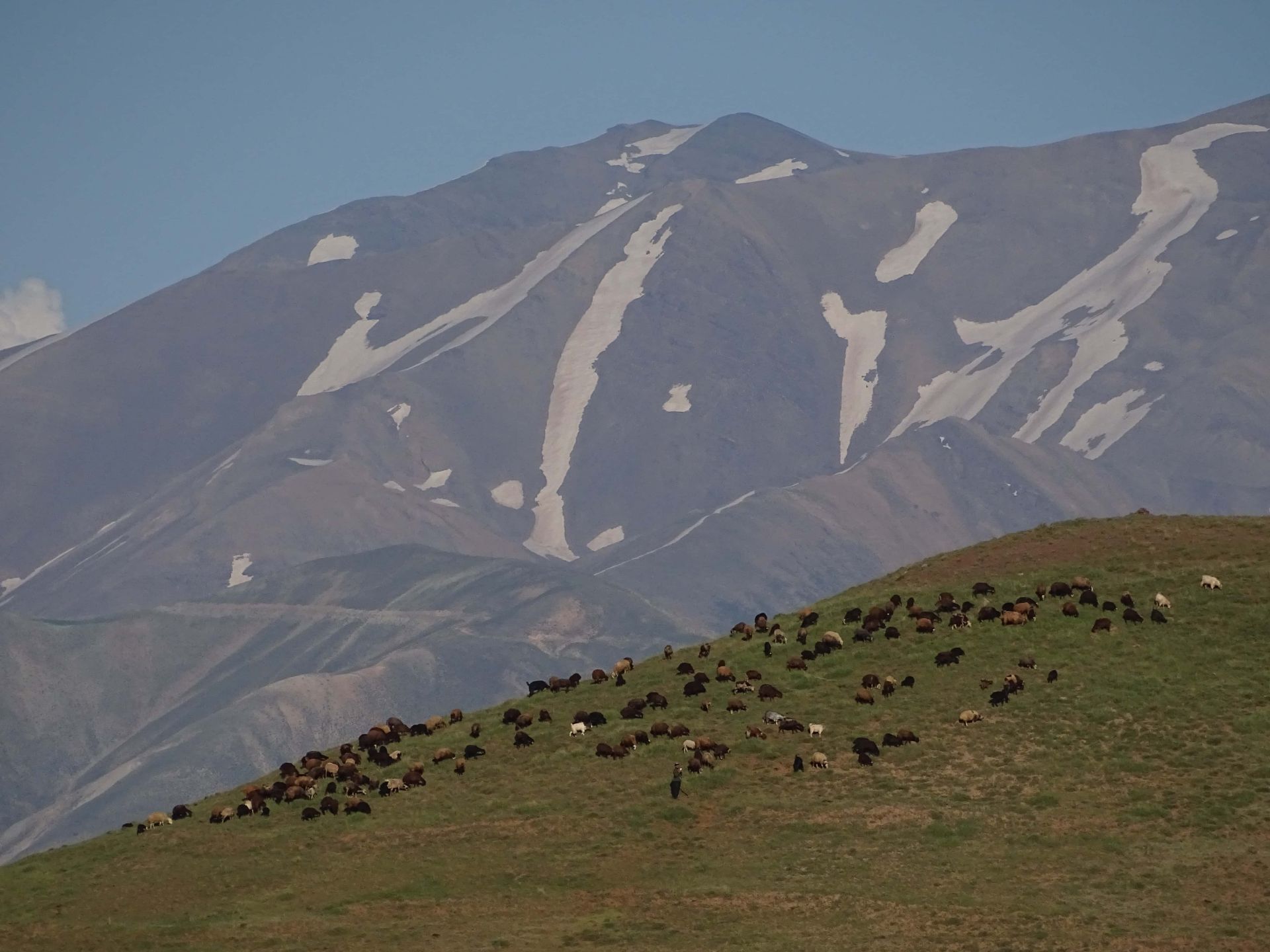 طبیعت طالقان کوه