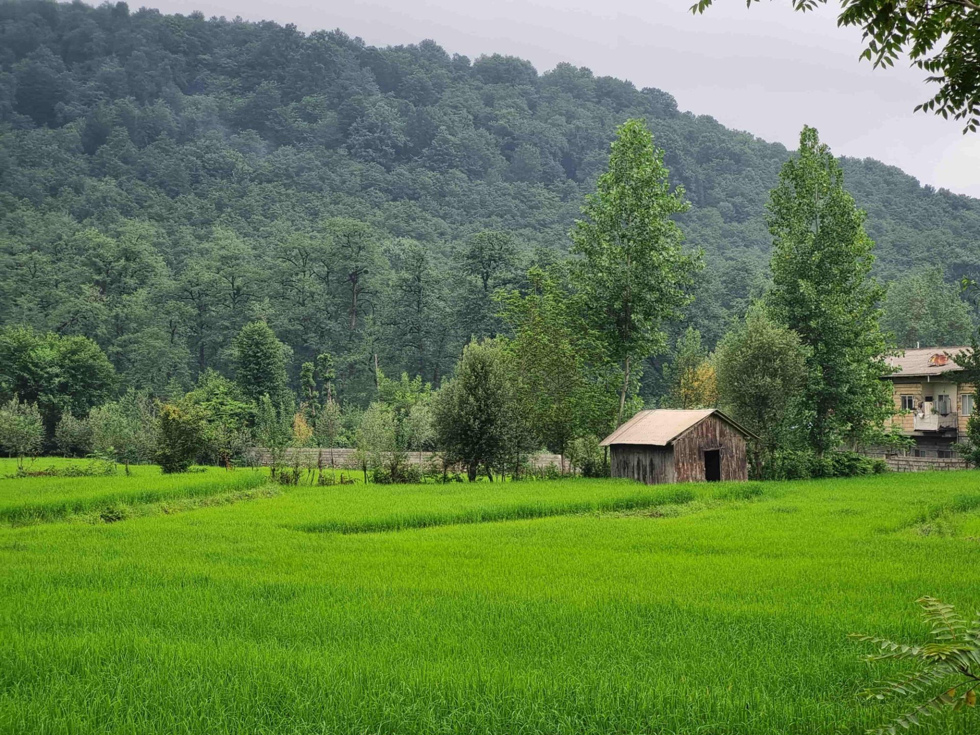 طبیعت طالقان