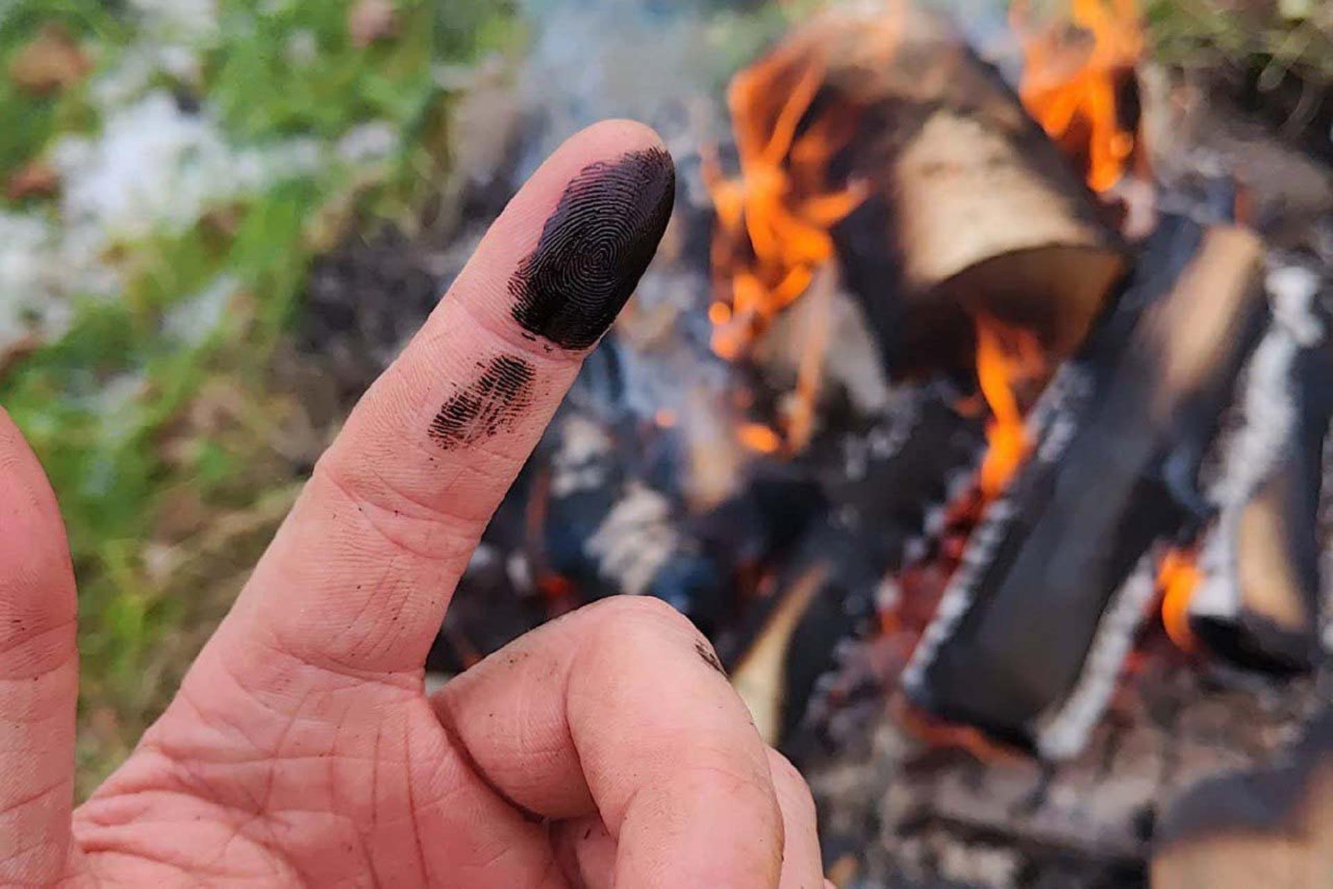 قیر حاصل از پوست درخت