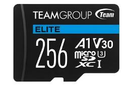 کارت حافظه تیم گروپ TEAMGROUP Elite V30 A1 microSDXC Class 10 UHS-I U3 256GB