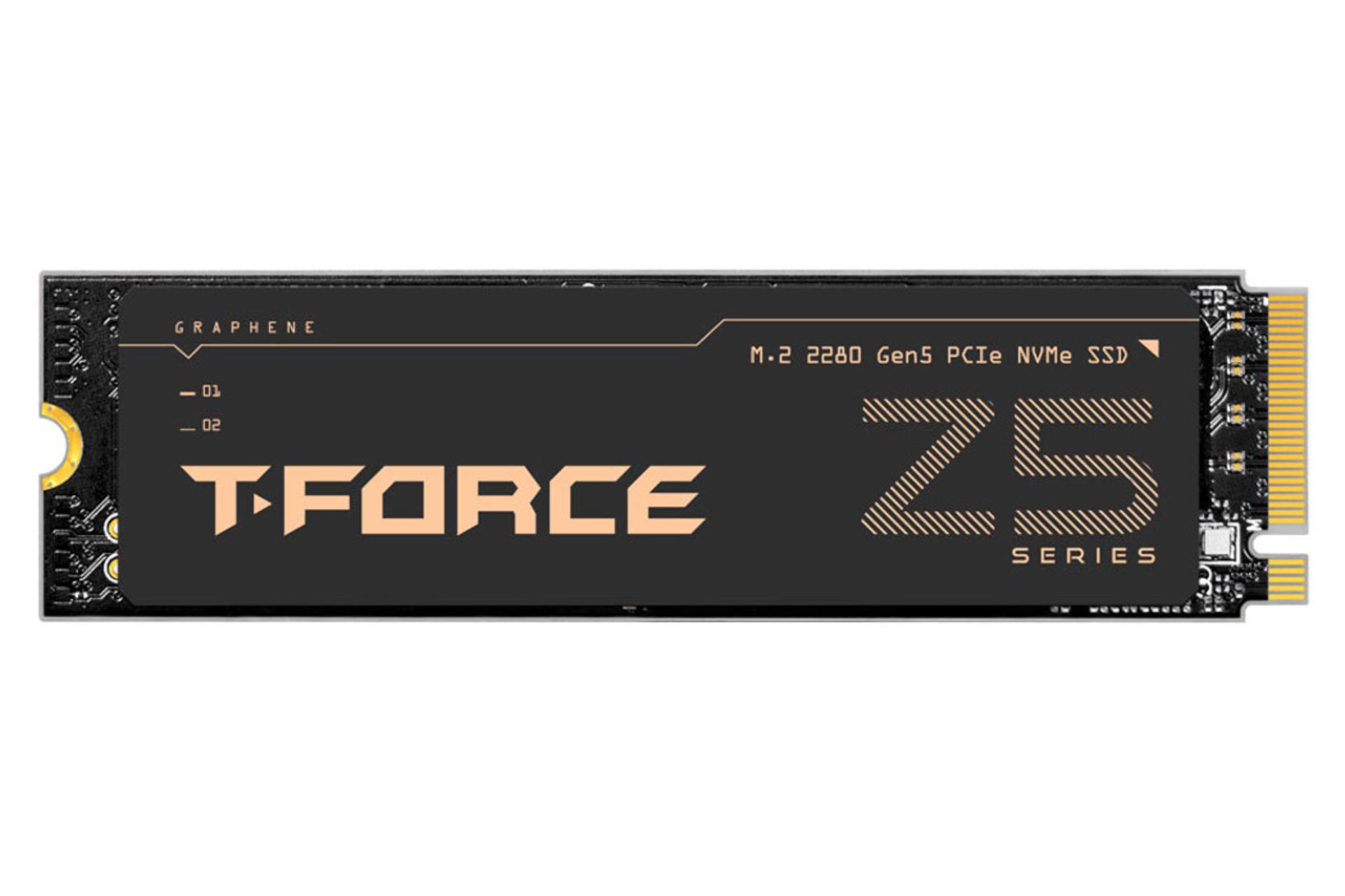 اس اس دی تیم گروپ TEAMGROUP T-FORCE Z54E NVMe M.2