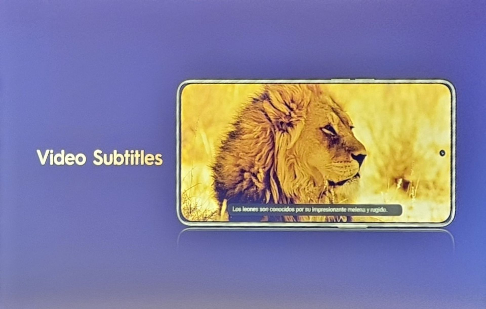 گوشی تکنو درحال نمایش شیر جنگل و زیرنویس انگلیسی