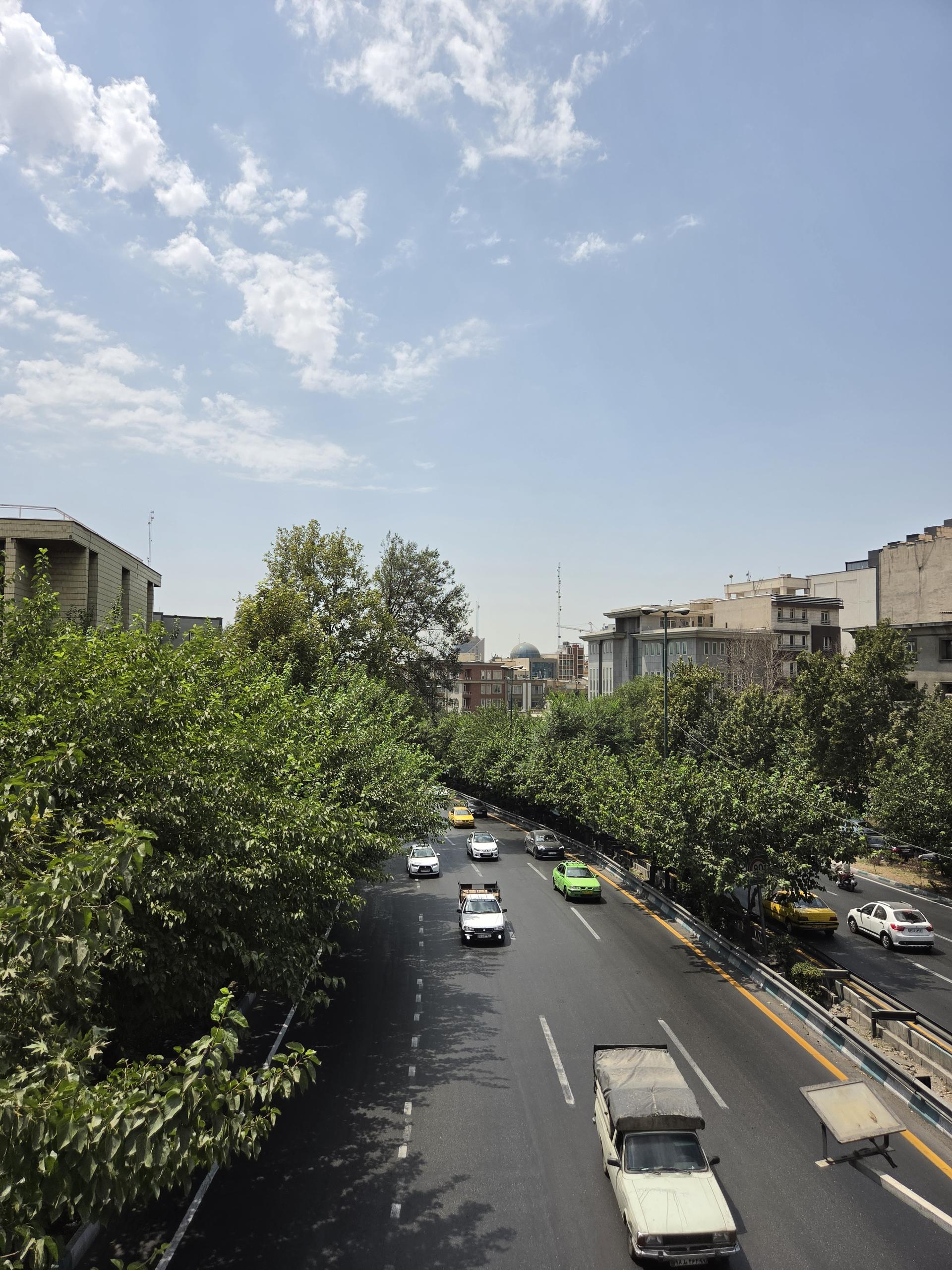 بلوار پردرخت با خودروهای در حال حرکت زیر آسمان صاف