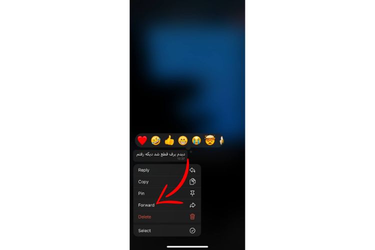 فوروارد پیام در تلگرام