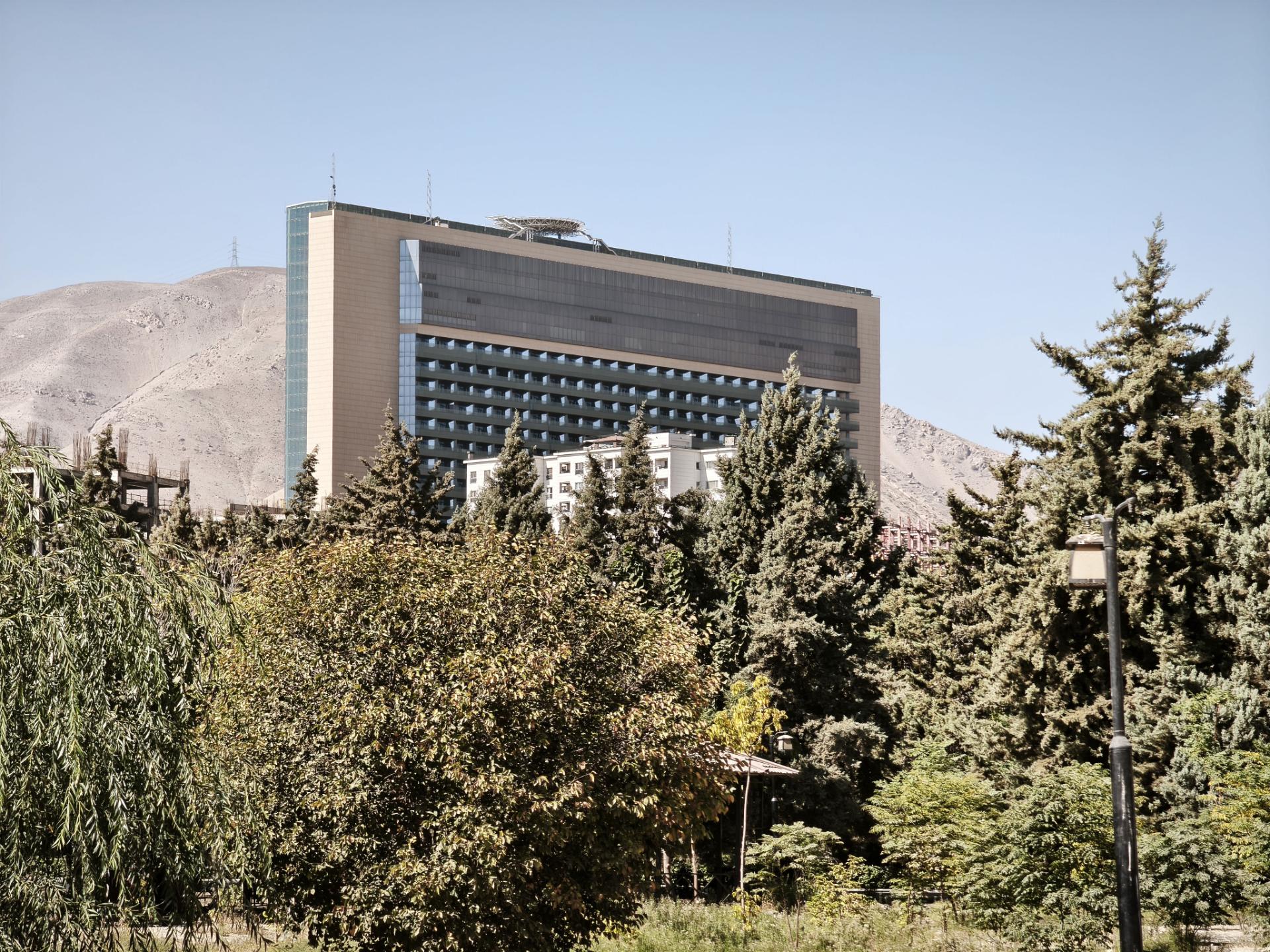 نمای نزدیک از درخت‌ها