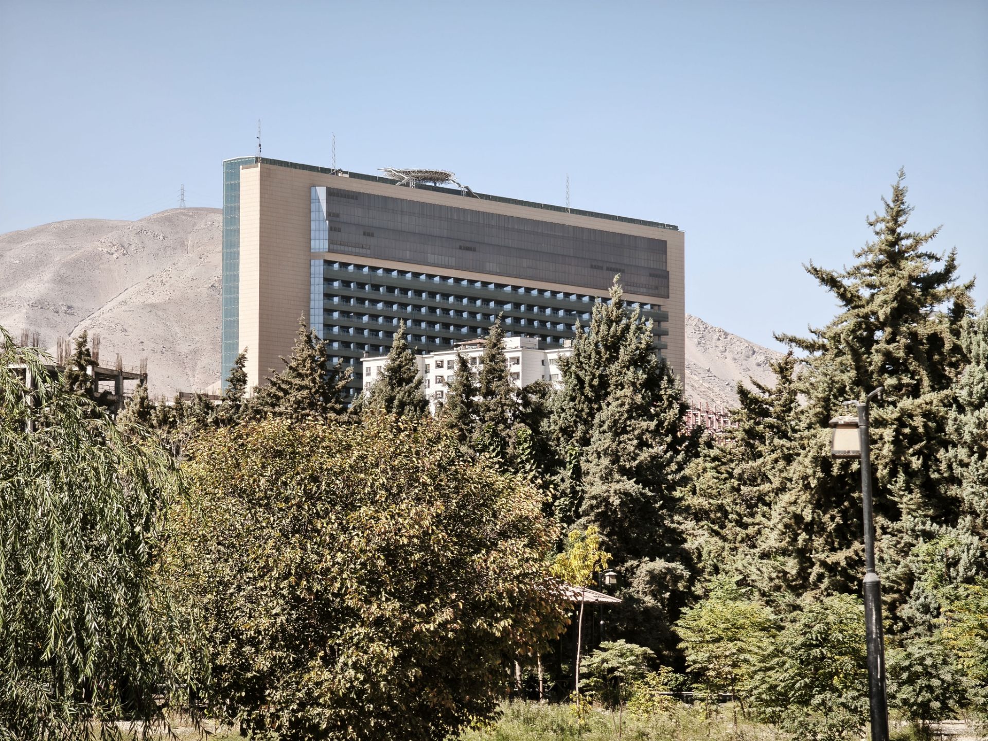 نمای نزدیک از درخت‌ها