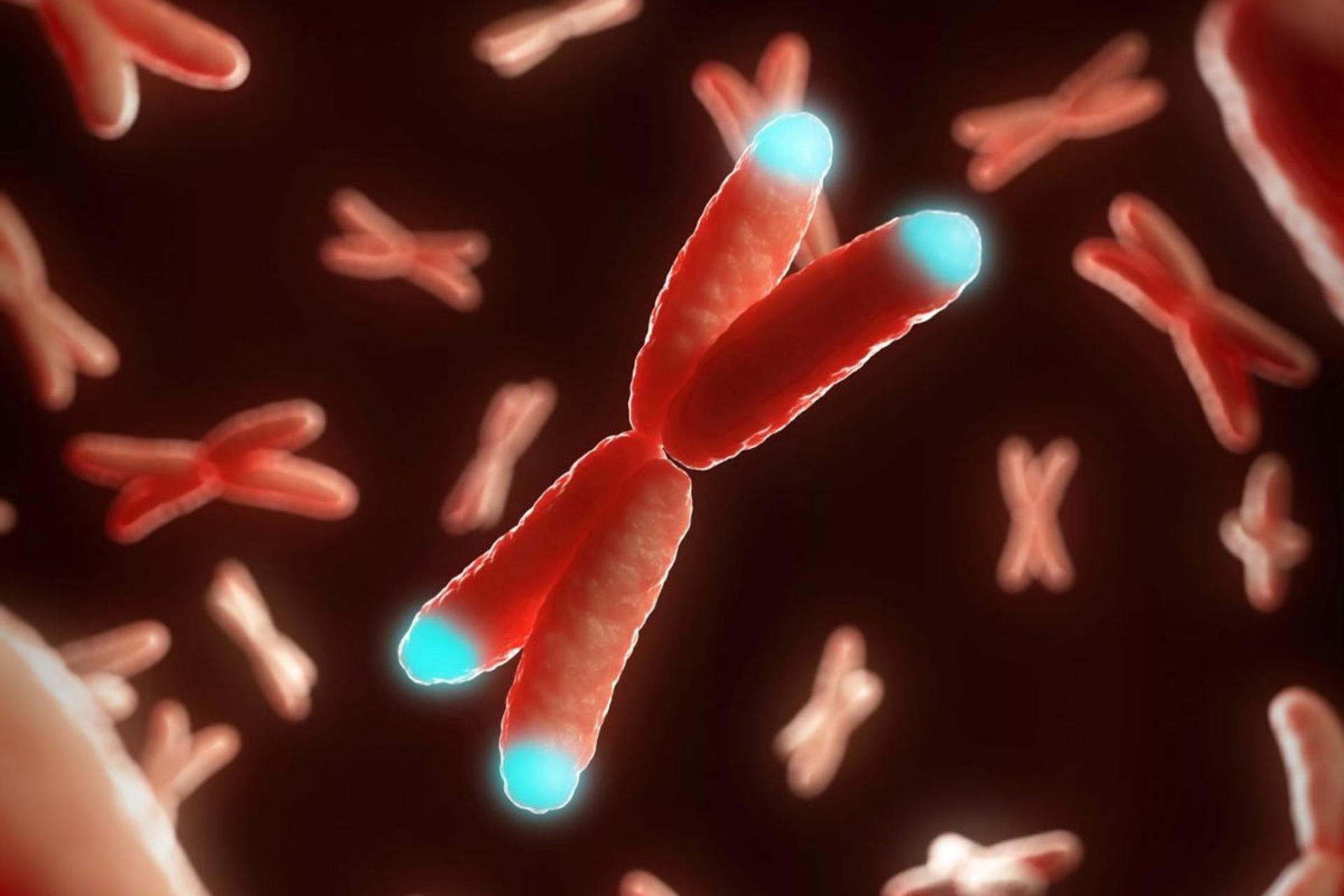 چرا بدن انسان نمی‌تواند جاودانه باشد؟