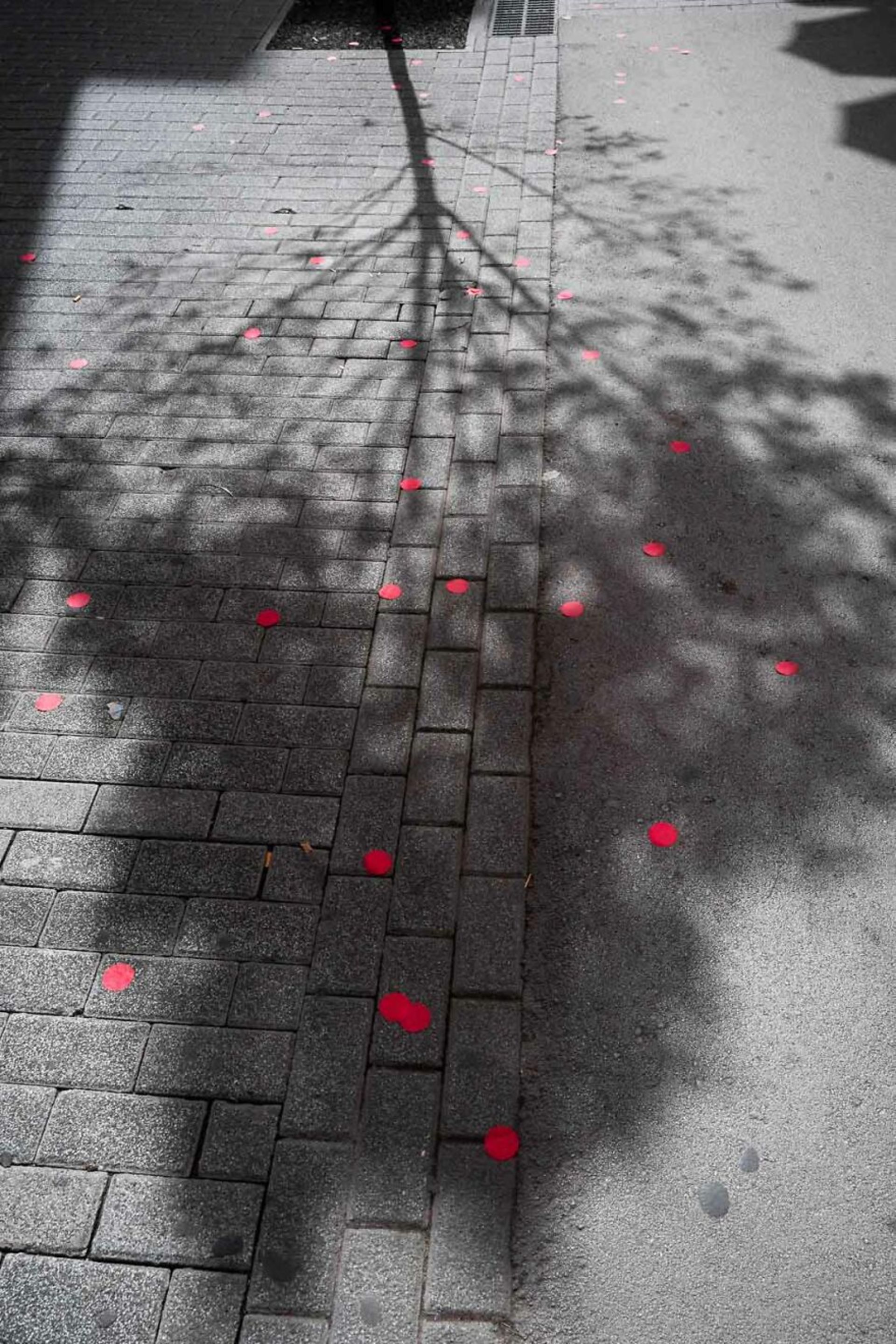 سایه درخت روی زمین با دایره‌های کاغذی قرمز
