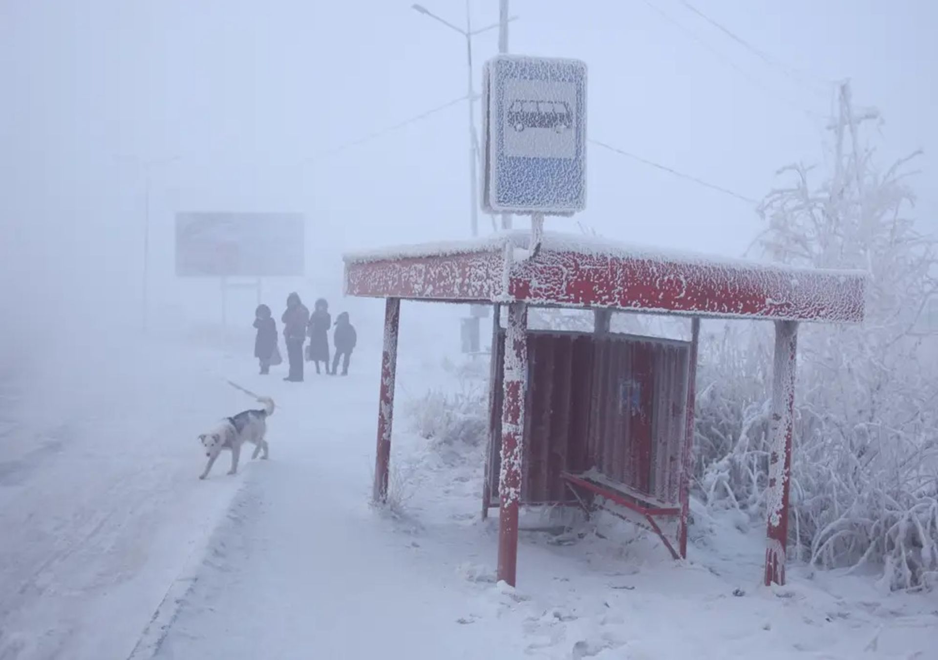ایستگاه سواری یخ‌زده در برف و مسافران منتظر