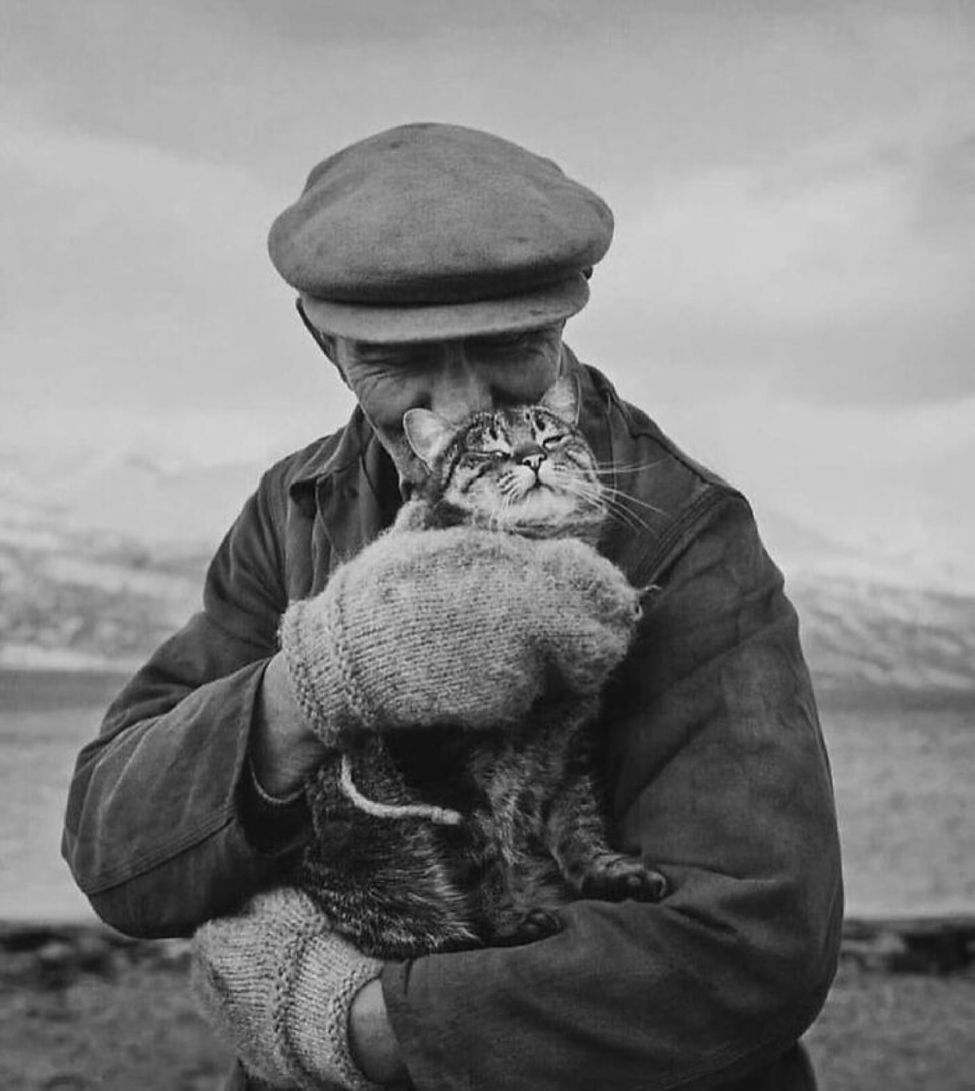 گربه در آغوش مرد