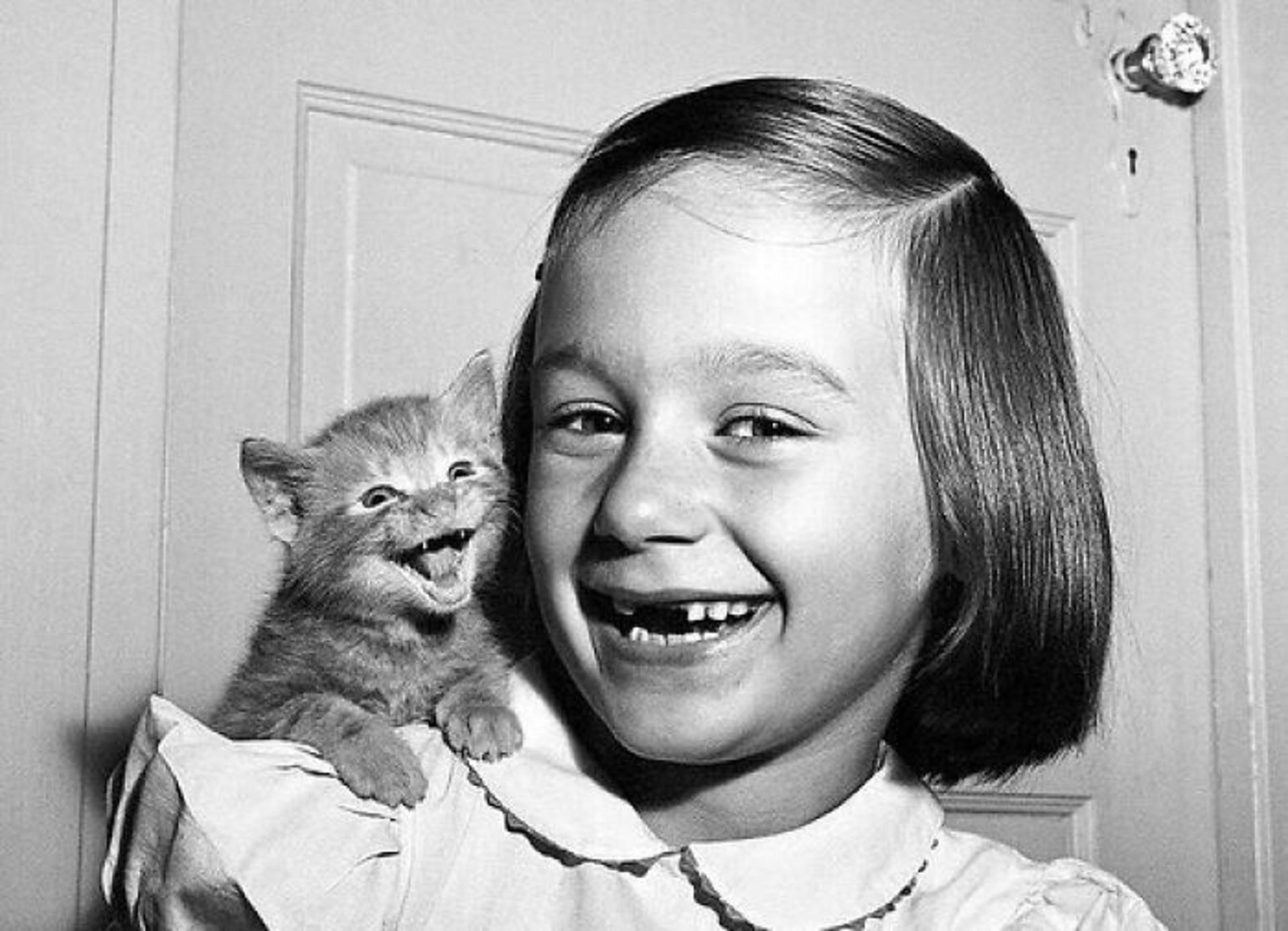 بچه گربه و دختر بچه