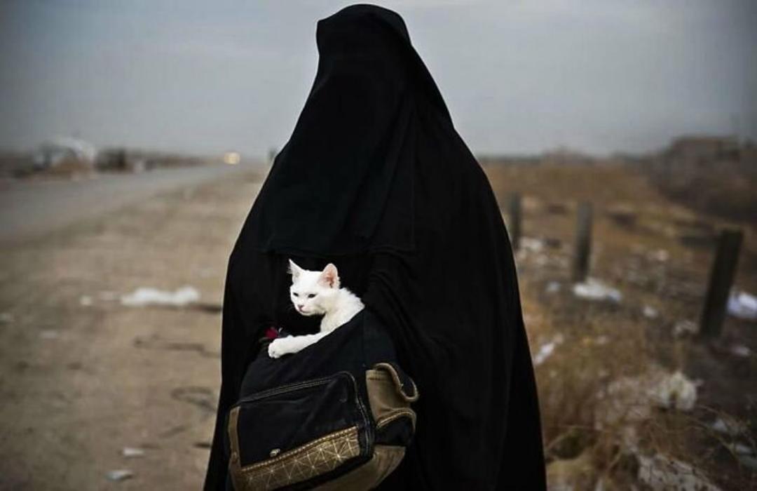 گربه سفید در کیف زن چادر مشکی