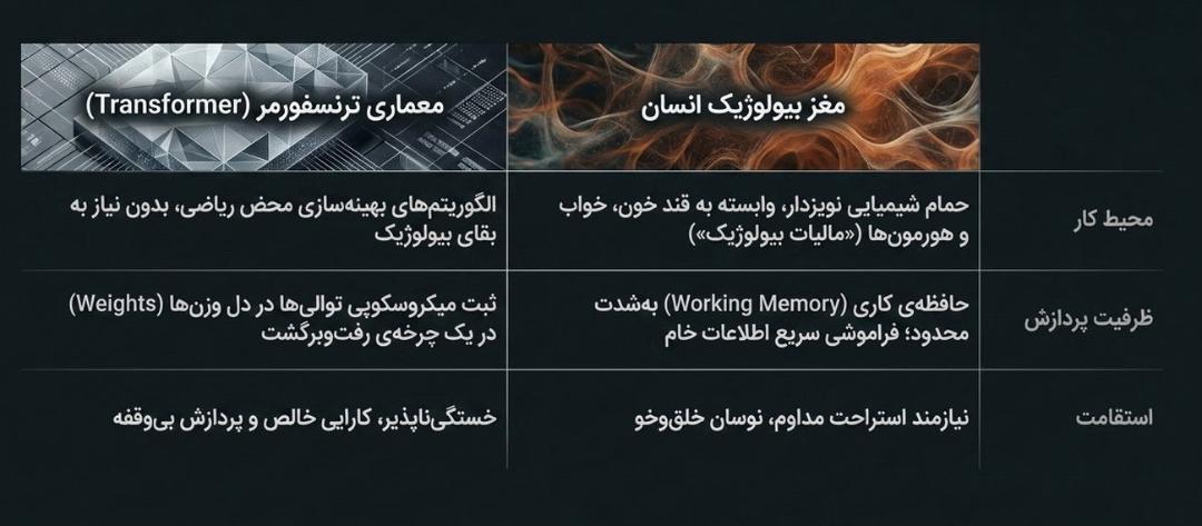 تفاوت ترنسفورمر و مغز بیولوژیکی انسان