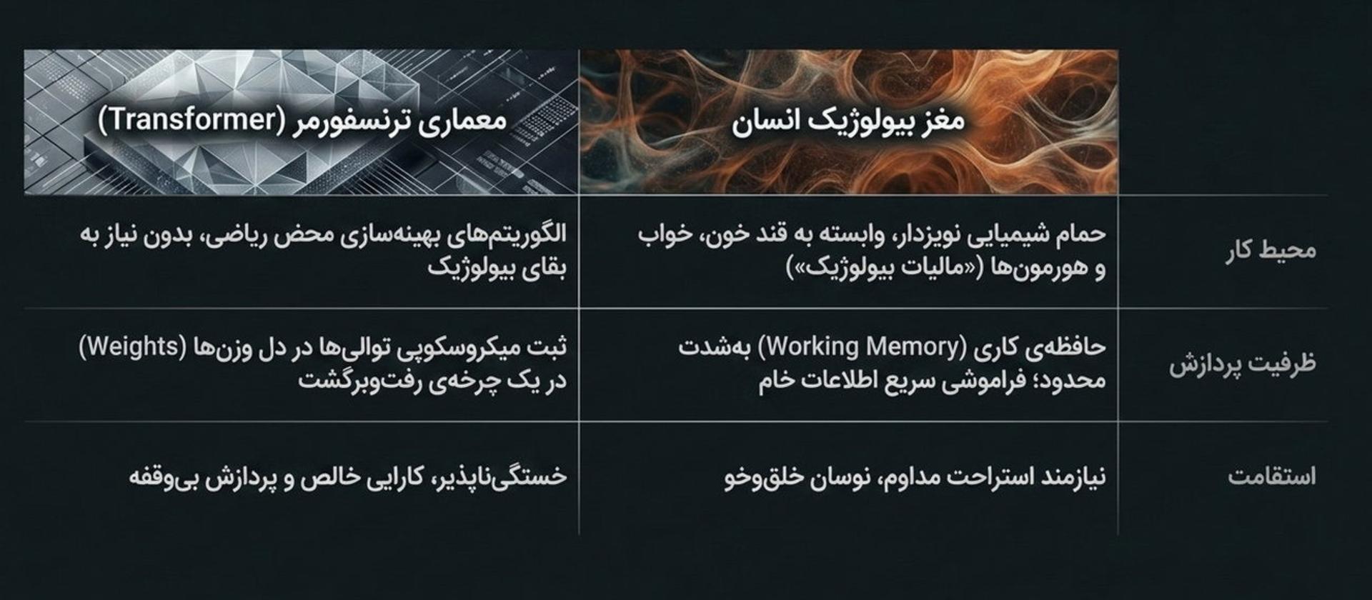 تفاوت ترنسفورمر و مغز بیولوژیکی انسان