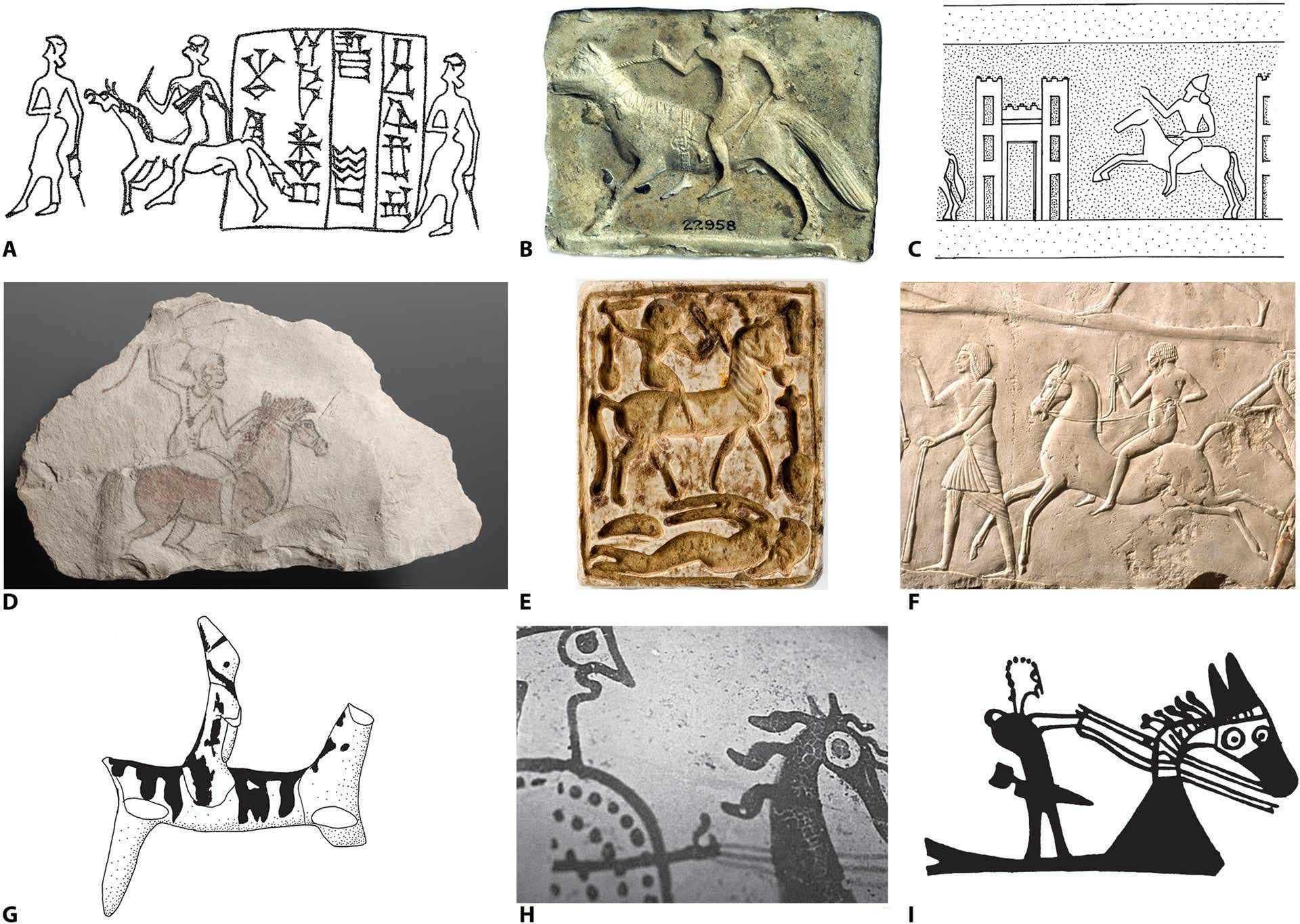 مجموعه‌ای از نقوش باستانی از اسب‌سواری