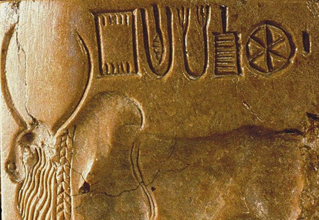 خط ایندوس یا خط هاراپان یا خط سند یا خط هاراپا (Indus script) مجموعه ای از نمادها که توسط تمدن دره سند تولید شده‌، روی کتیبه سنگی دیده می‌شود.