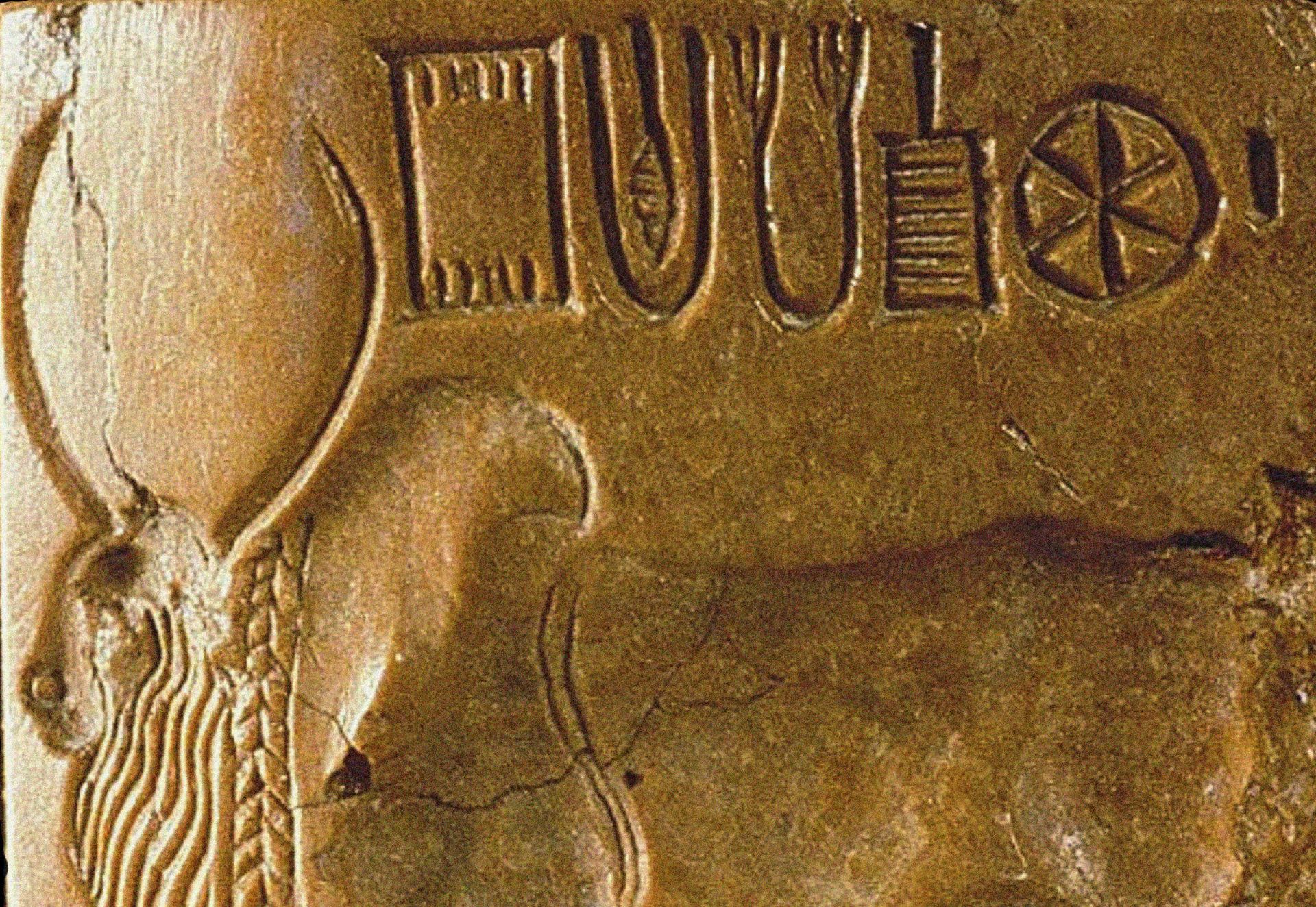خط ایندوس یا خط هاراپان یا خط سند یا خط هاراپا (Indus script) مجموعه ای از نمادها که توسط تمدن دره سند تولید شده‌، روی کتیبه سنگی دیده می‌شود.