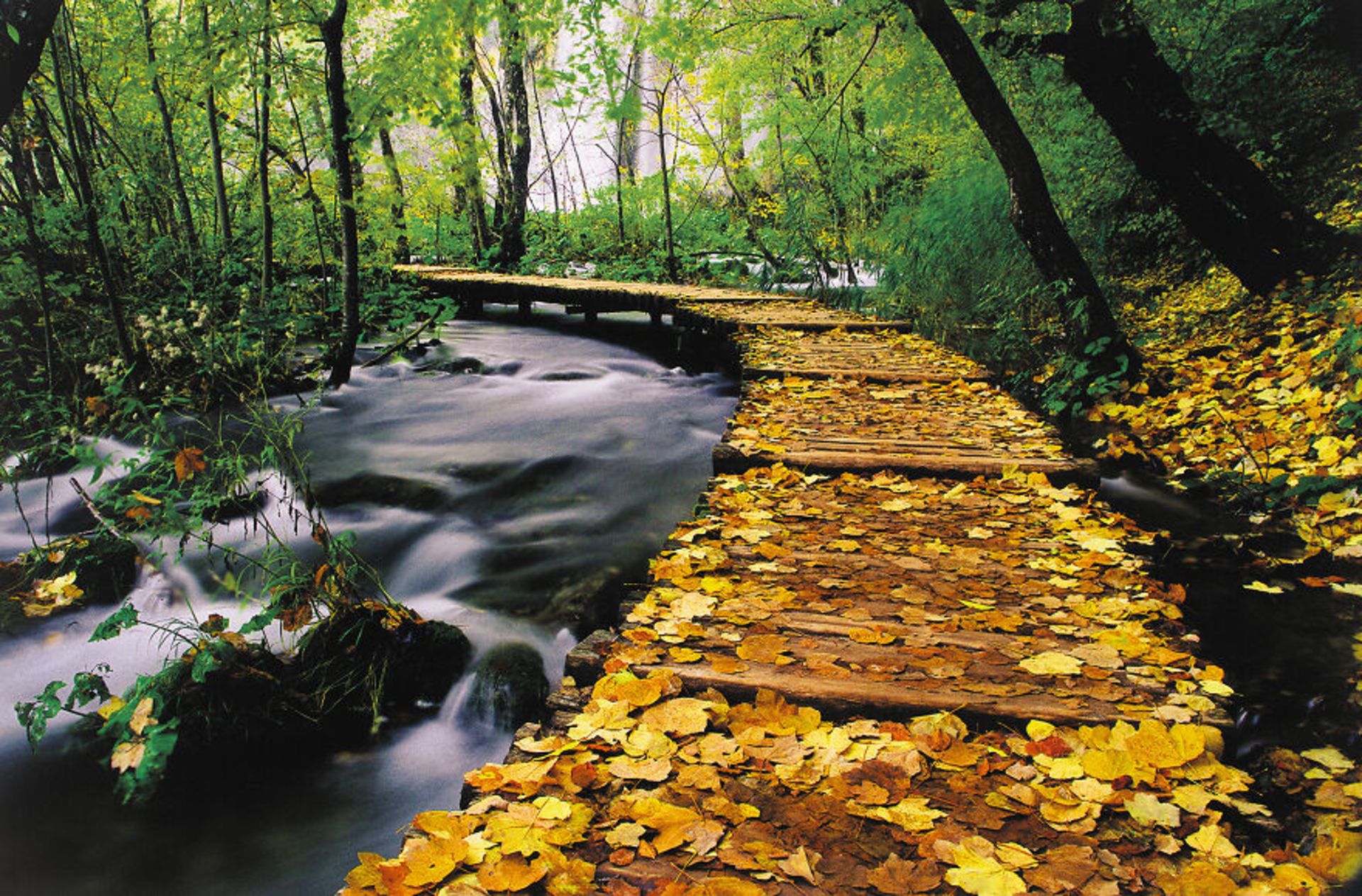 دریاچه باشکوه Plitvice در کرواسی