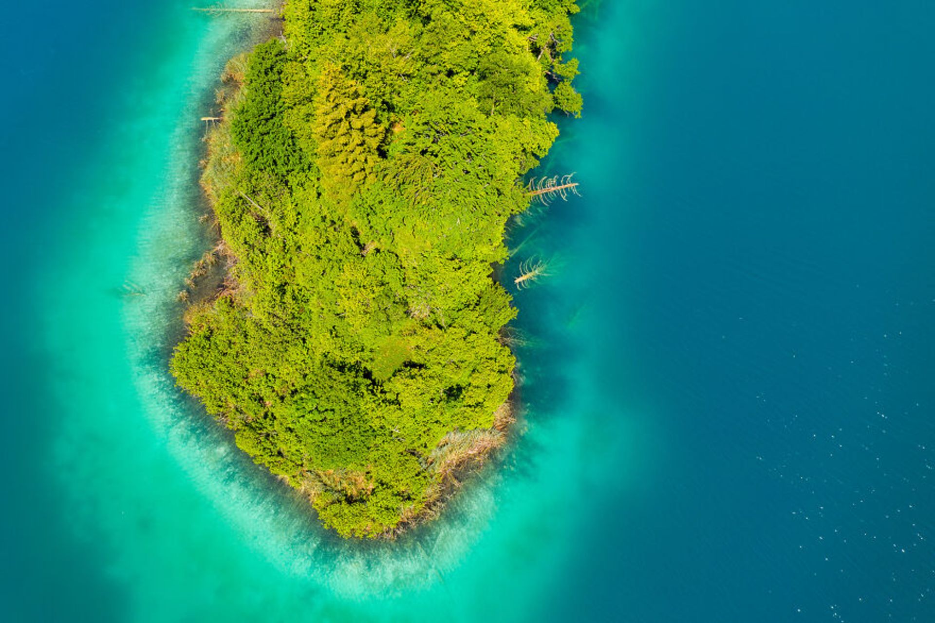 دریاچه Plitvice در کرواسی